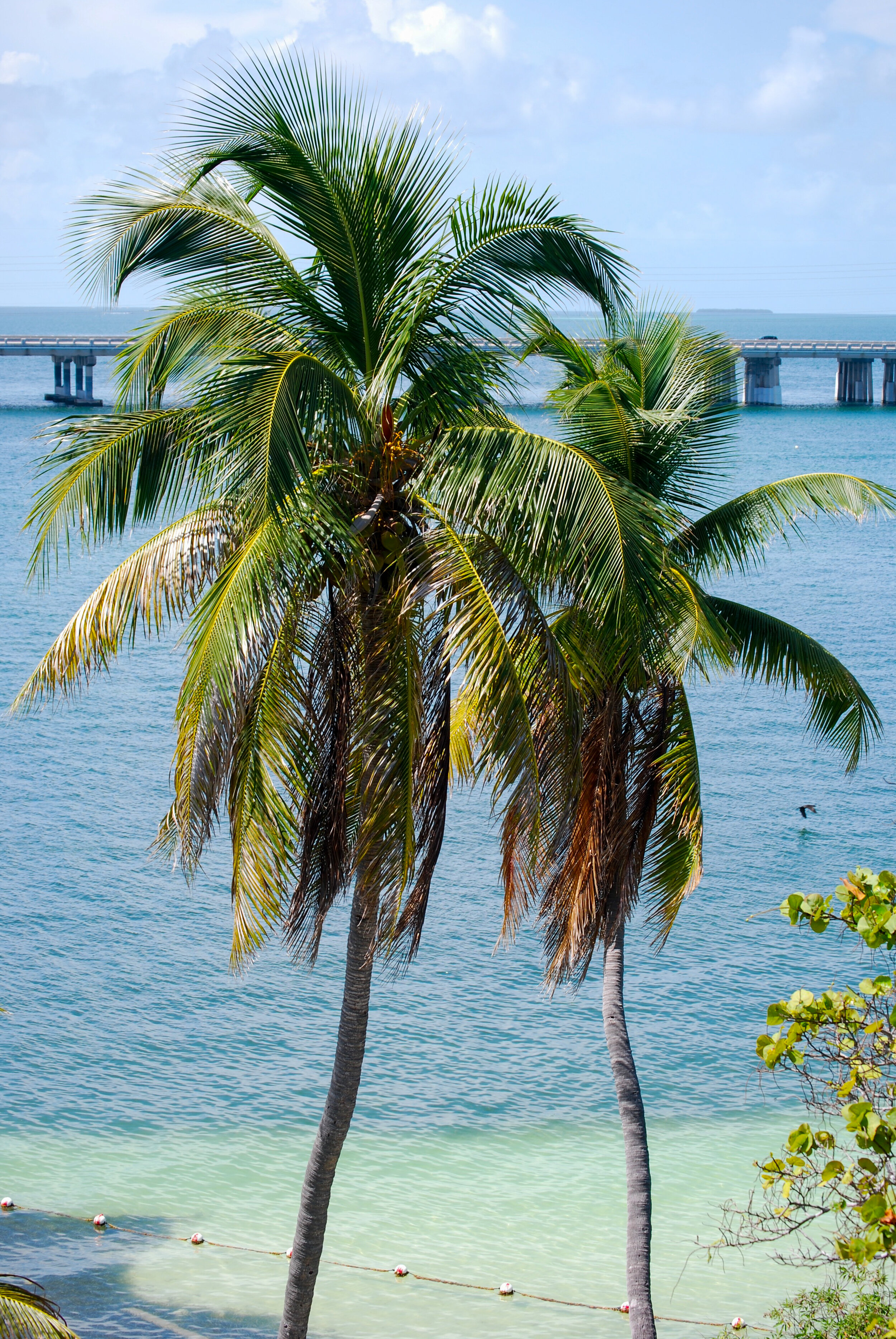 DSC_0906.jpg