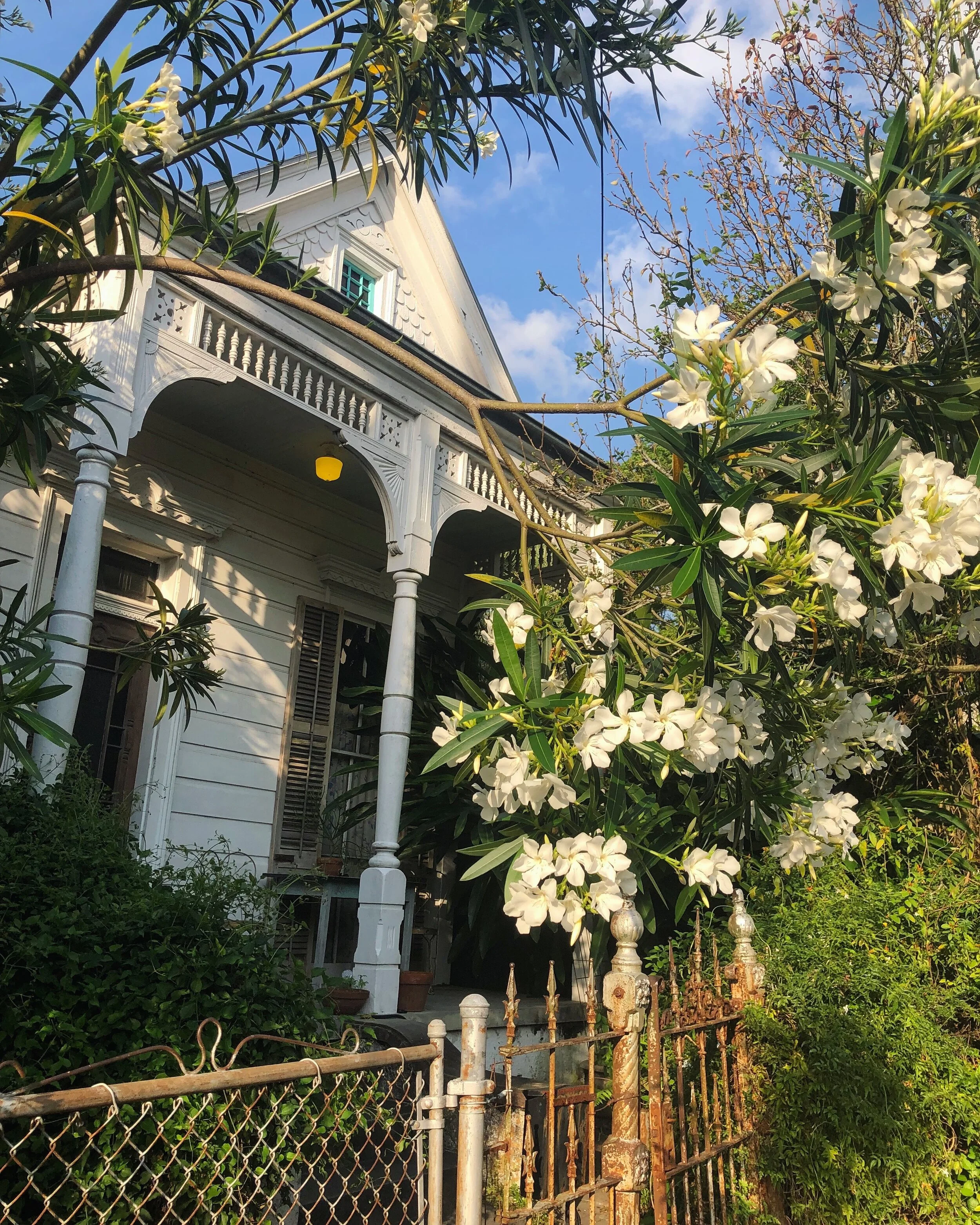 F68D4A73-A077-41AE-9CBF-57DEA33AA4F5 2.JPG