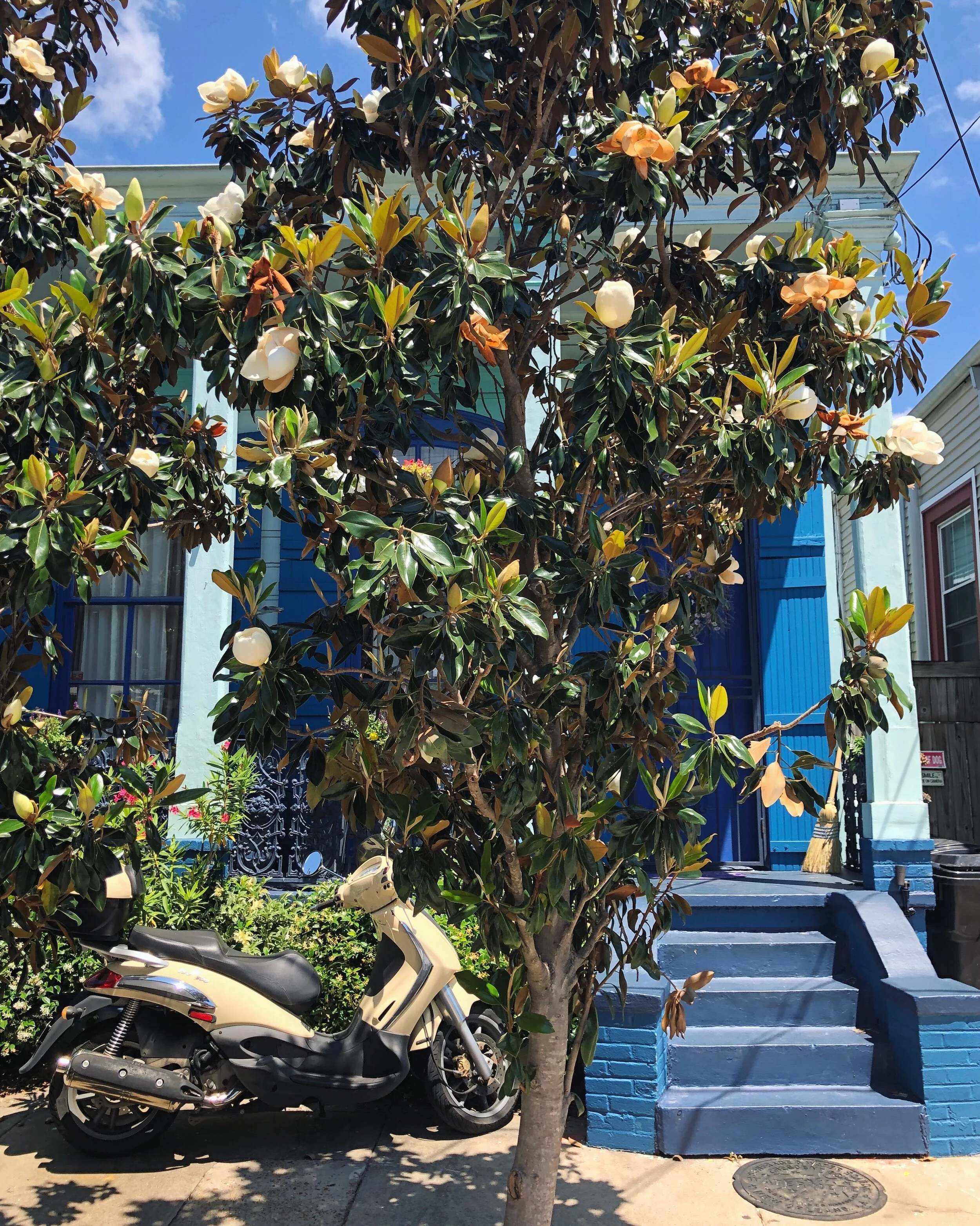 3BE3EBBD-454F-45C0-8376-D13490BEE3D3 2.JPG