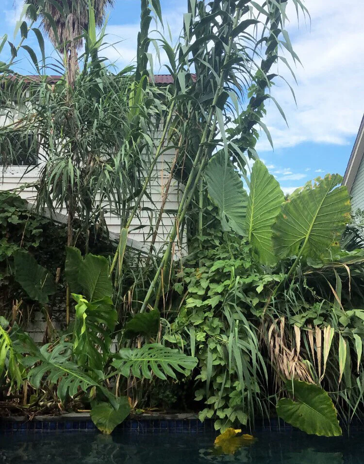 202AAECE-FC7A-4187-B913-E5190874E617 2 B.jpg