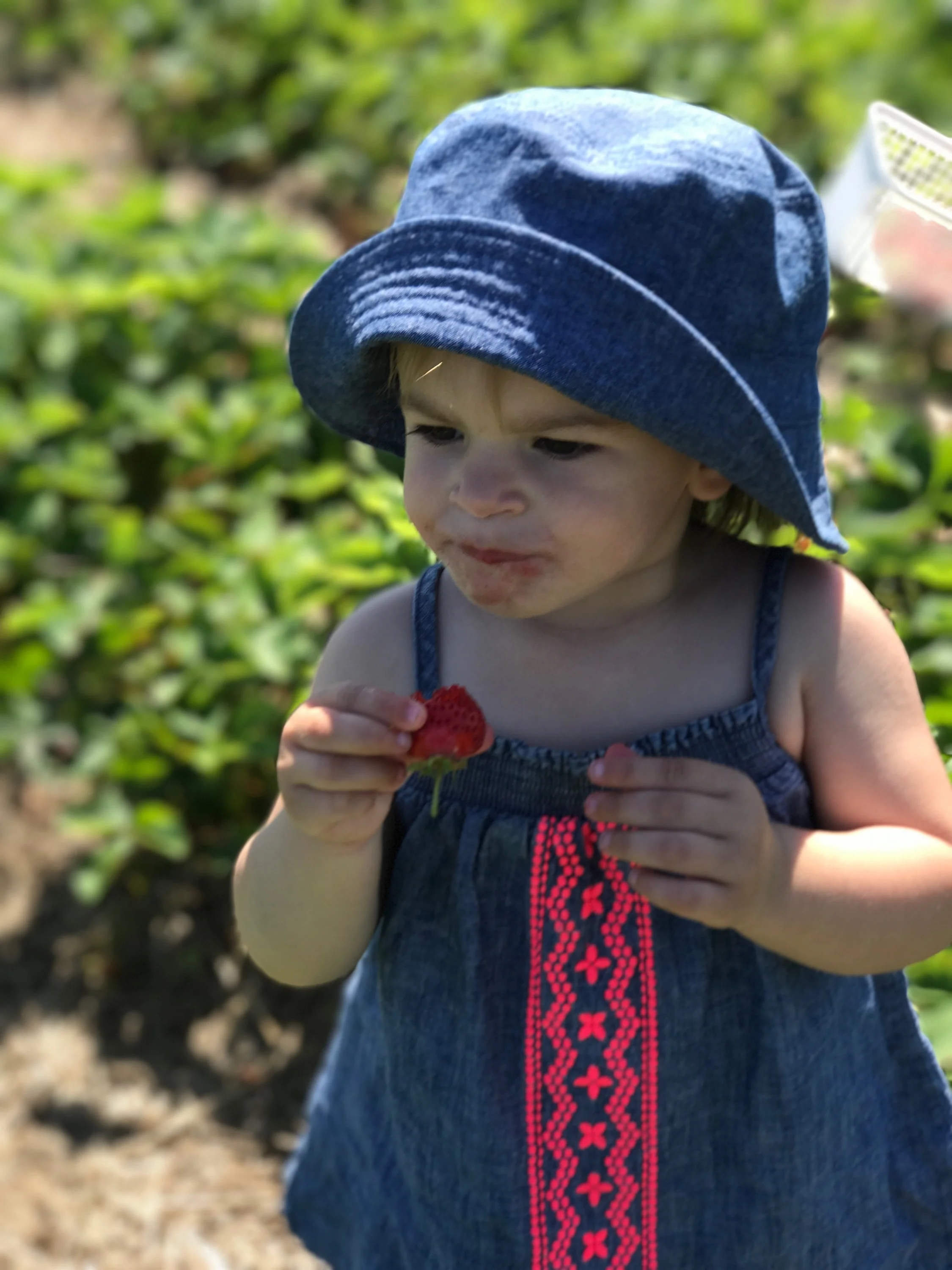 Photo 2017-07-04, 10 57 46 AM.jpg