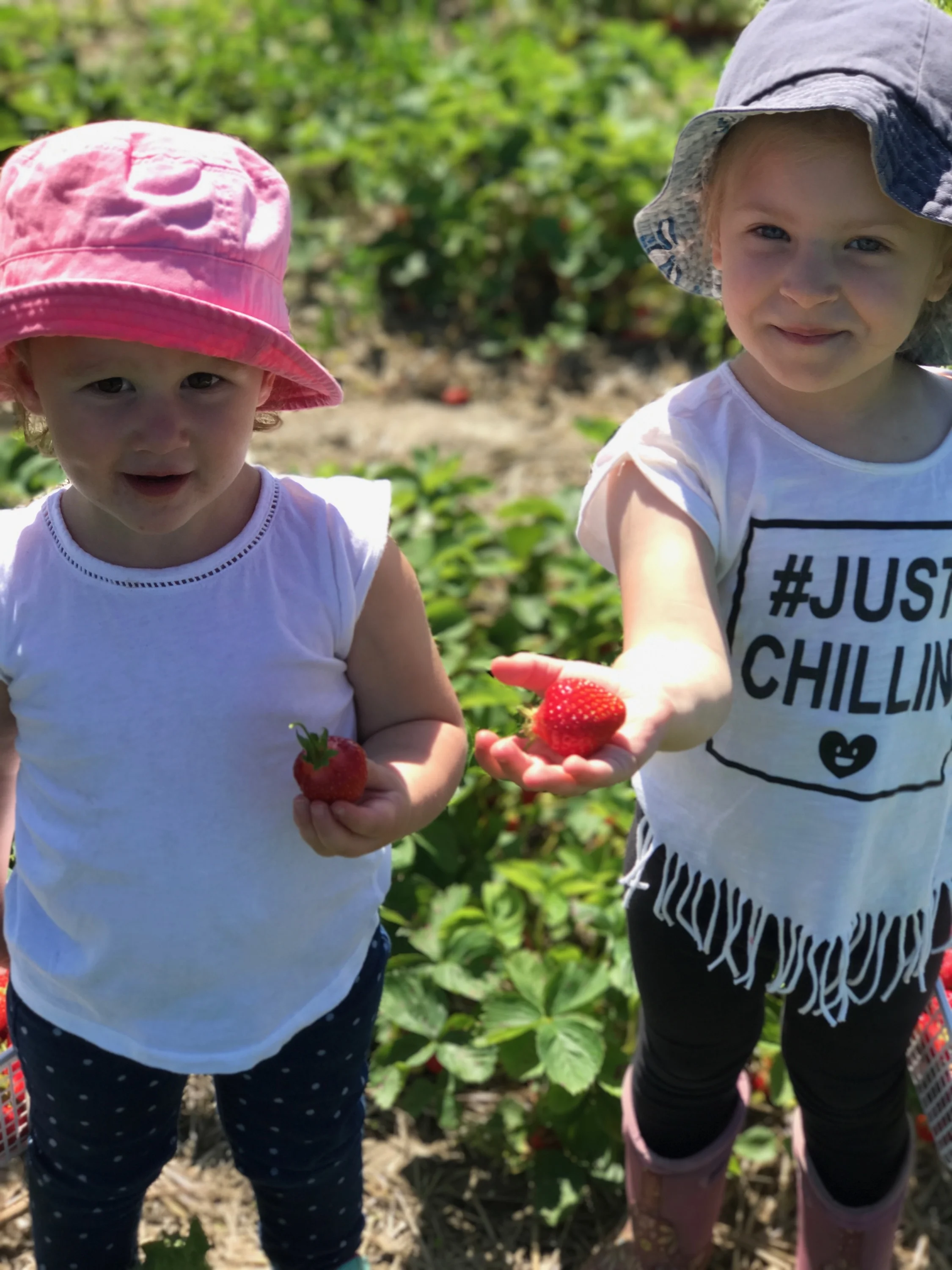 Photo 2017-07-04, 11 01 11 AM.jpg