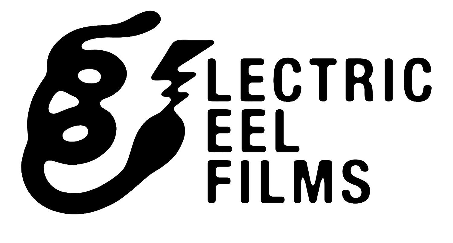 Electric Eel Films