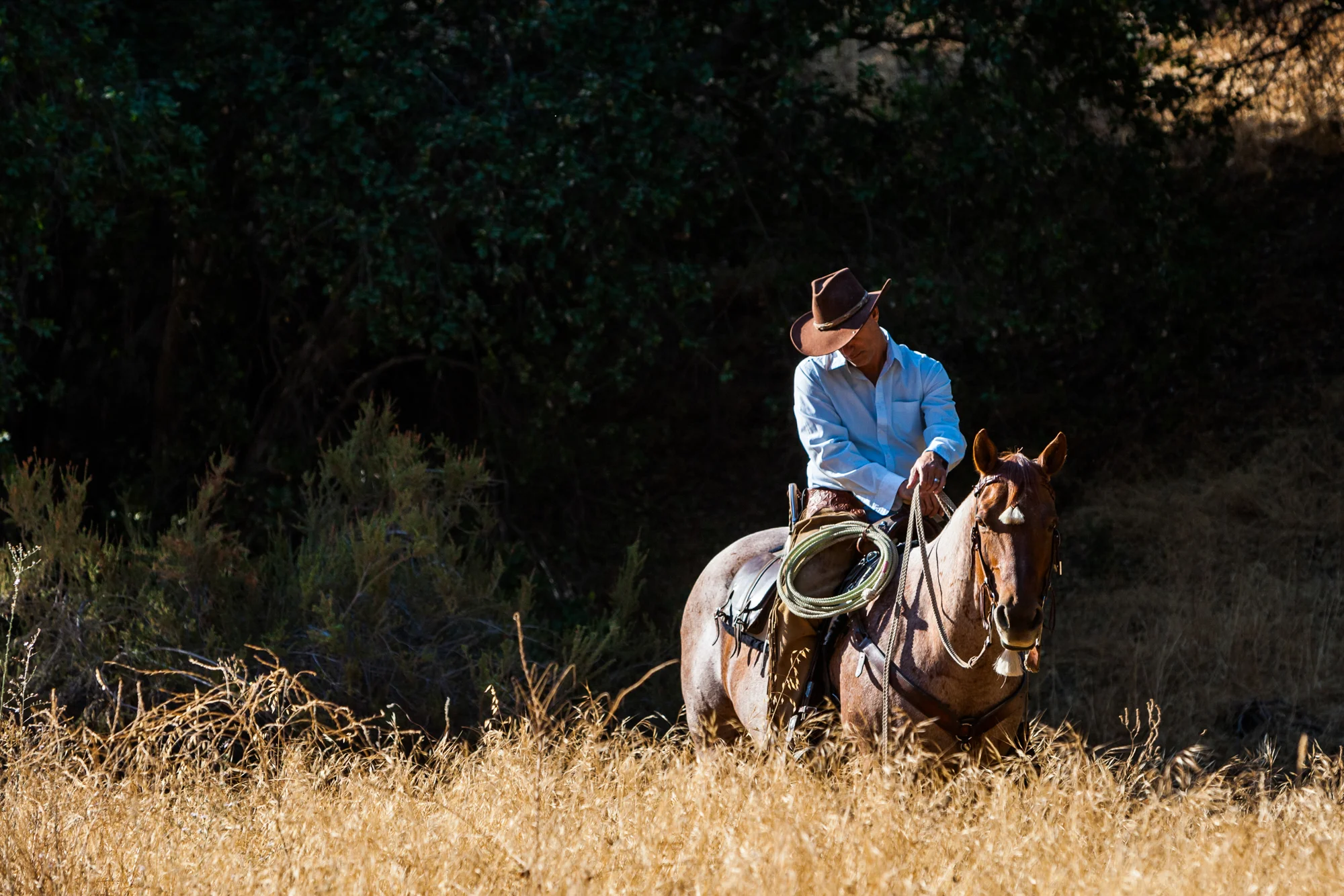 Equine Photography by Holly Martin-15.jpg