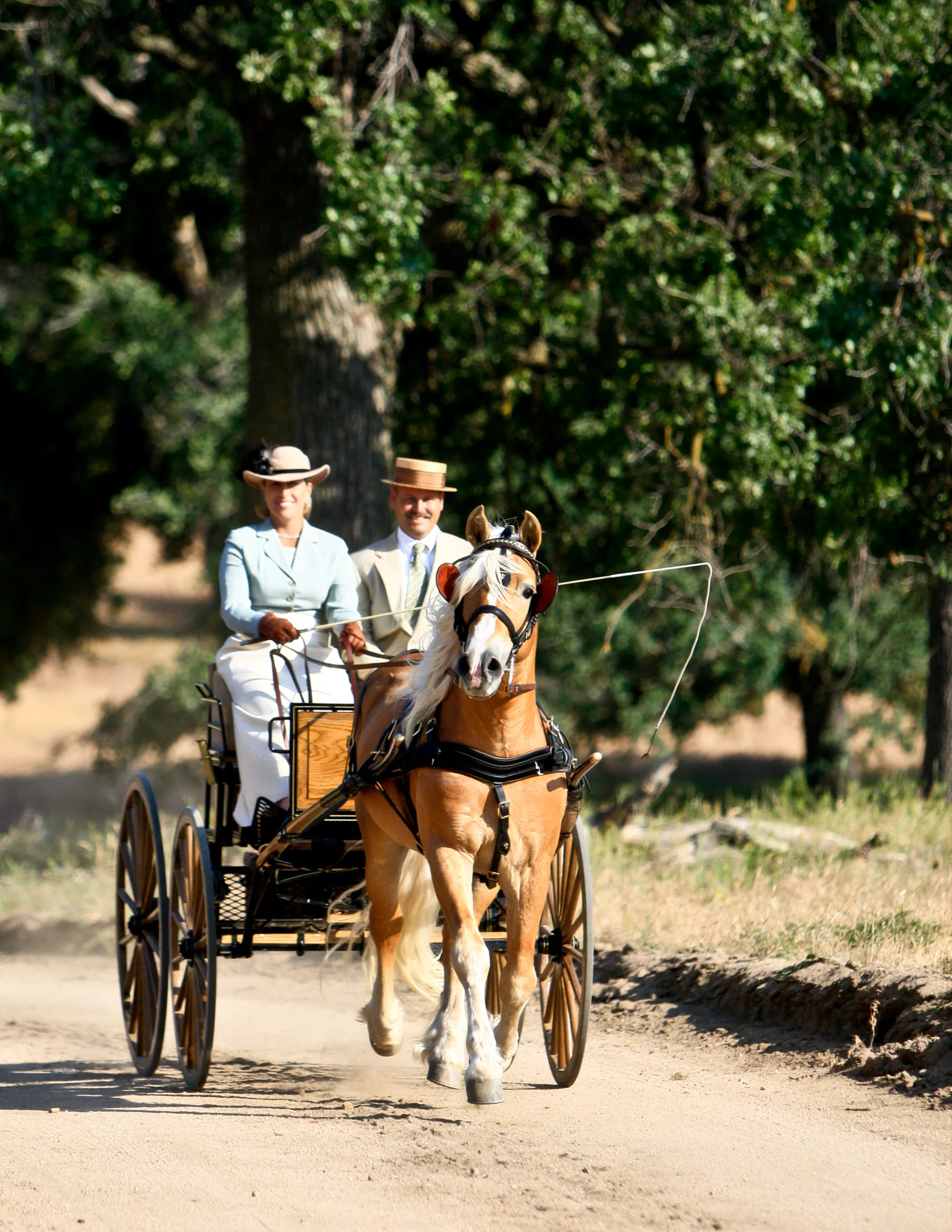 Equine Photography by Holly Martin-13.jpg