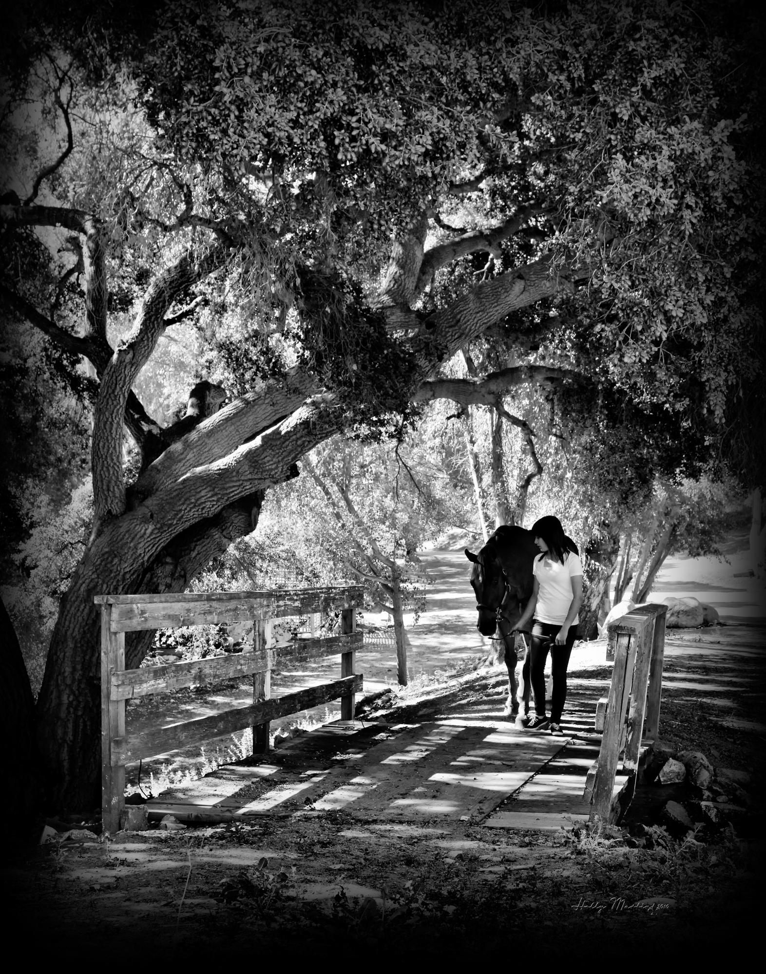 Equine Photography by Holly Martin-18.jpg