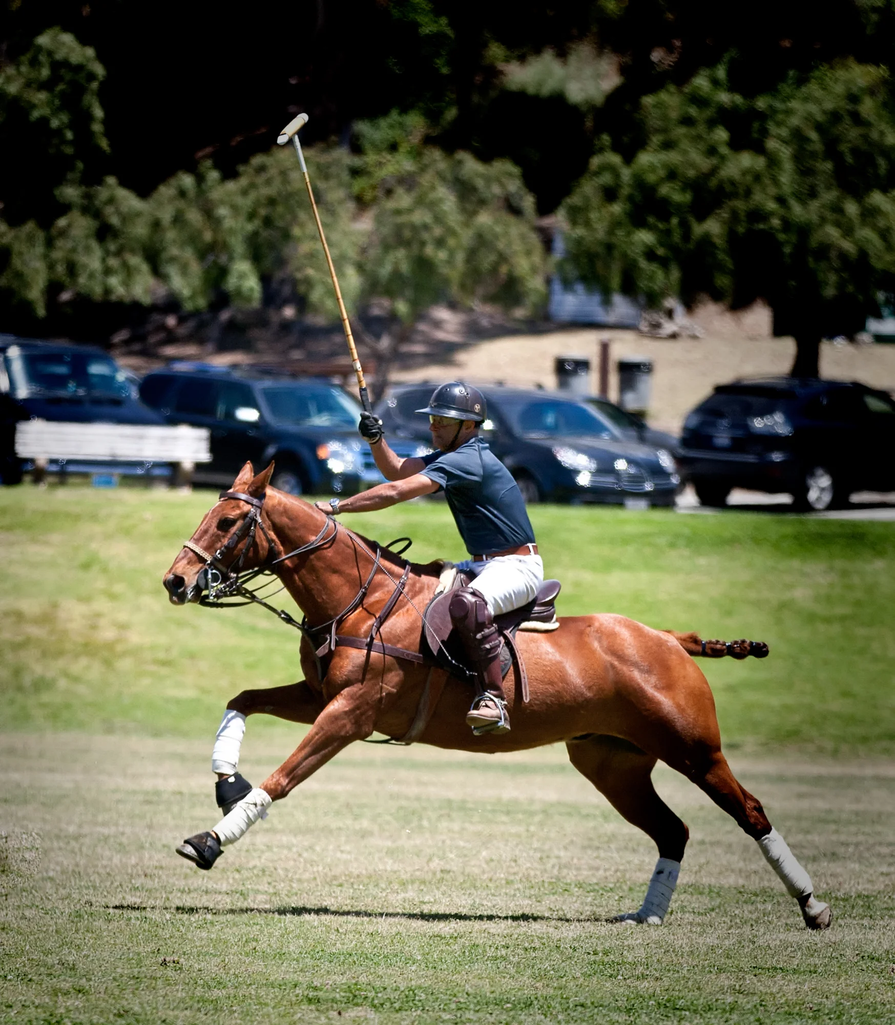 Equine Photography by Holly Martin-26.jpg