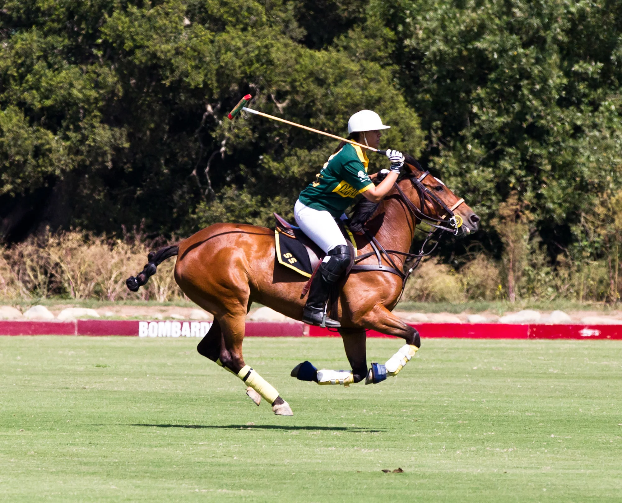 Equine Photography by Holly Martin-35.jpg