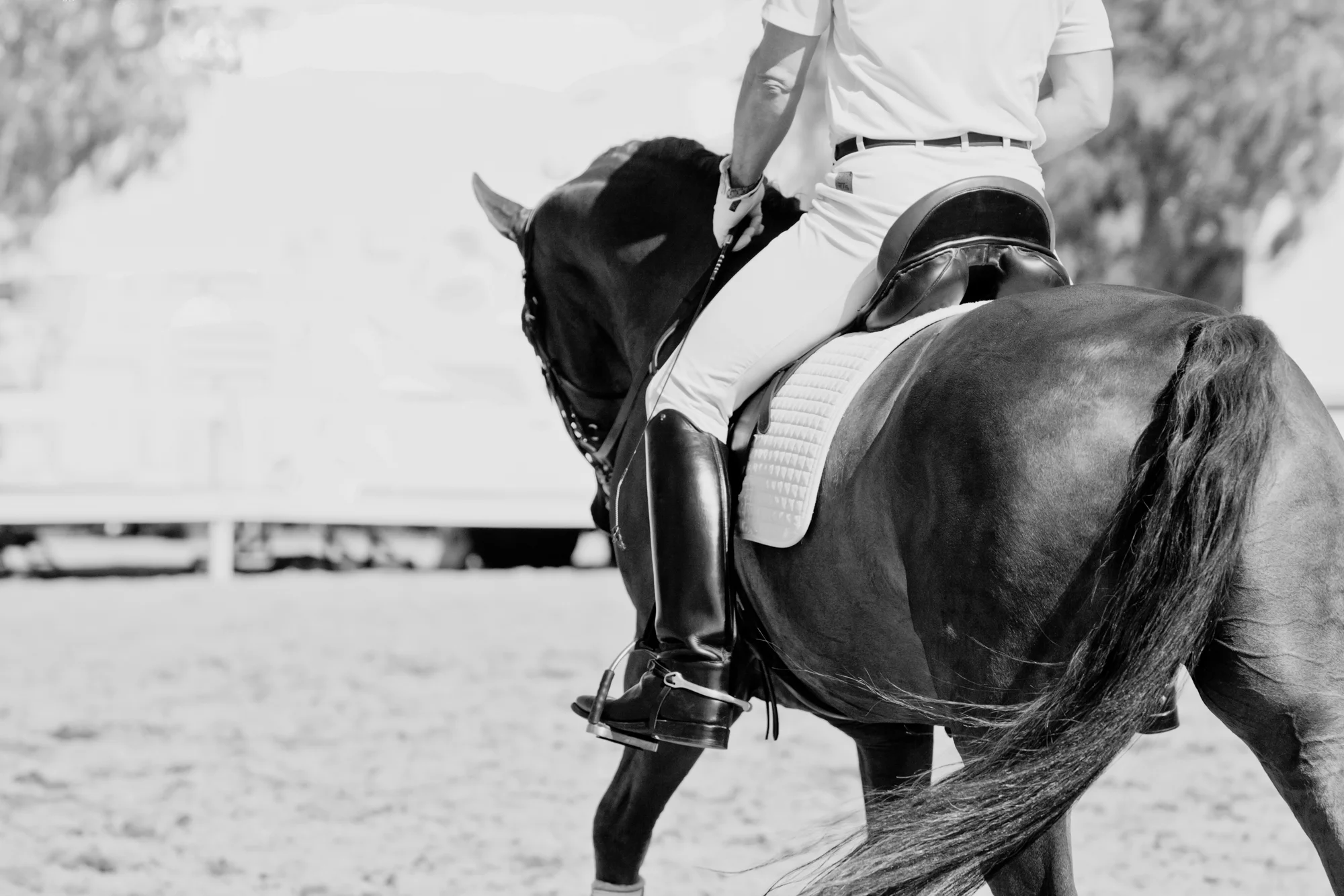 Equine Photography by Holly Martin-100.jpg