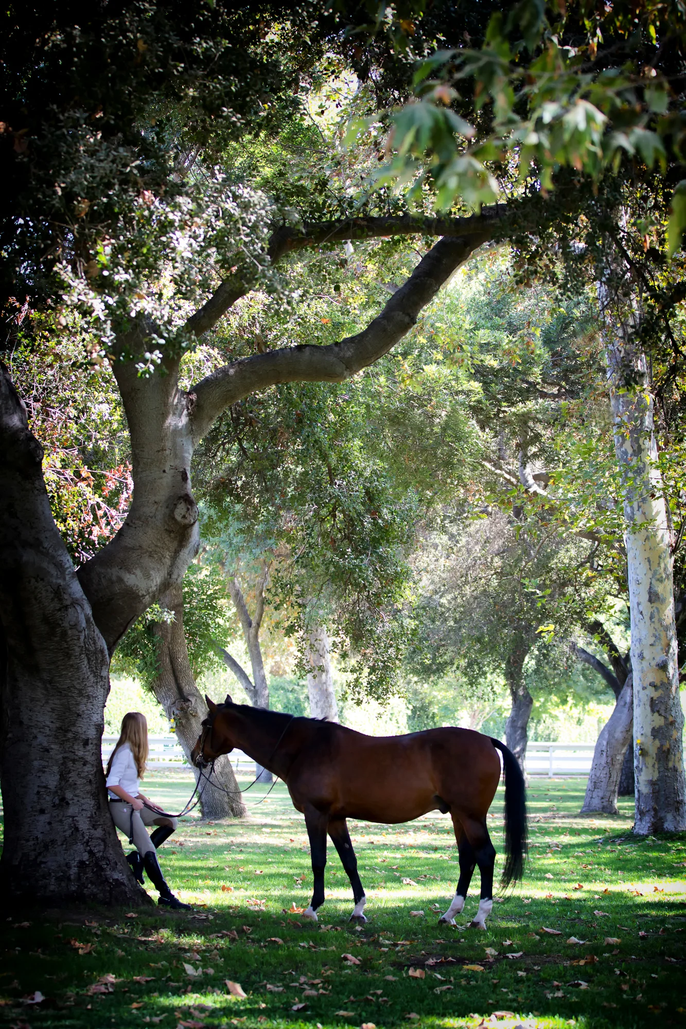 Equine Photography by Holly Martin-46.jpg