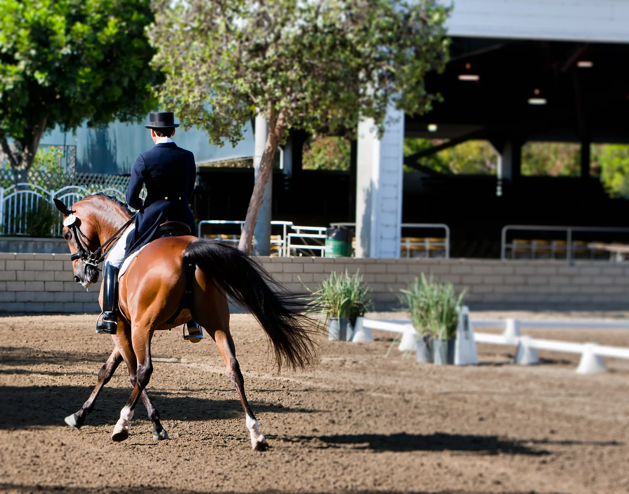 Equine Photography by Holly Martin-108.jpg