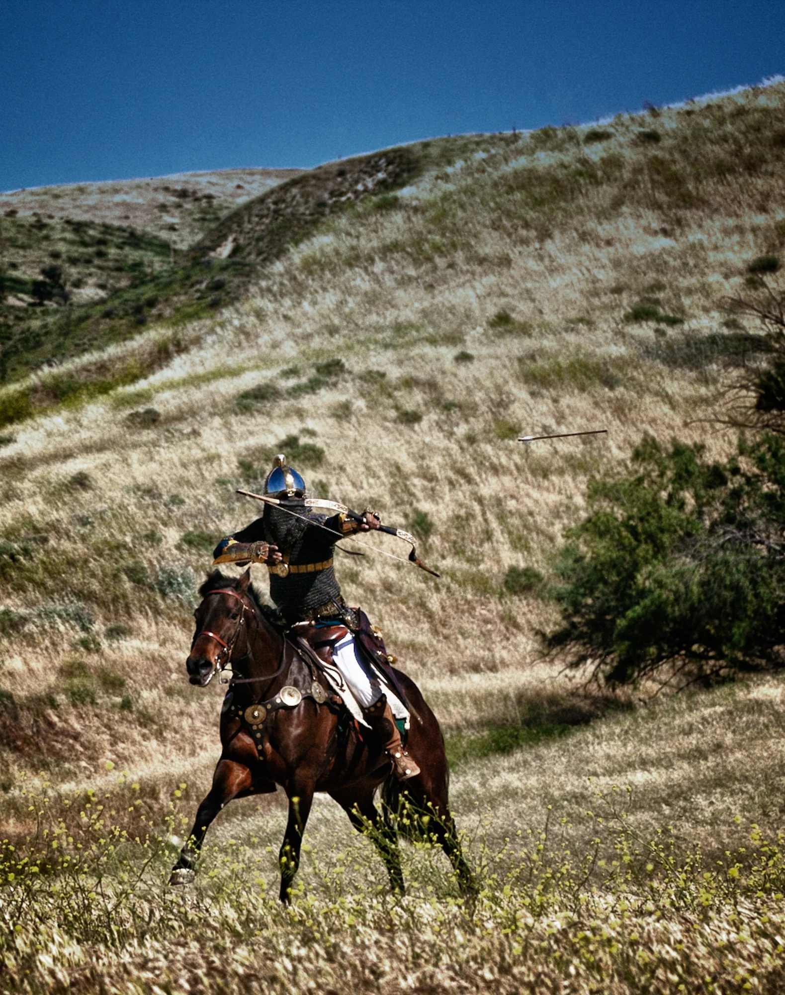 Equine Photography by Holly Martin-130.jpg