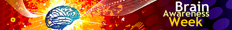 Screen Shot 2019-02-06 at 10.21.55 am.png