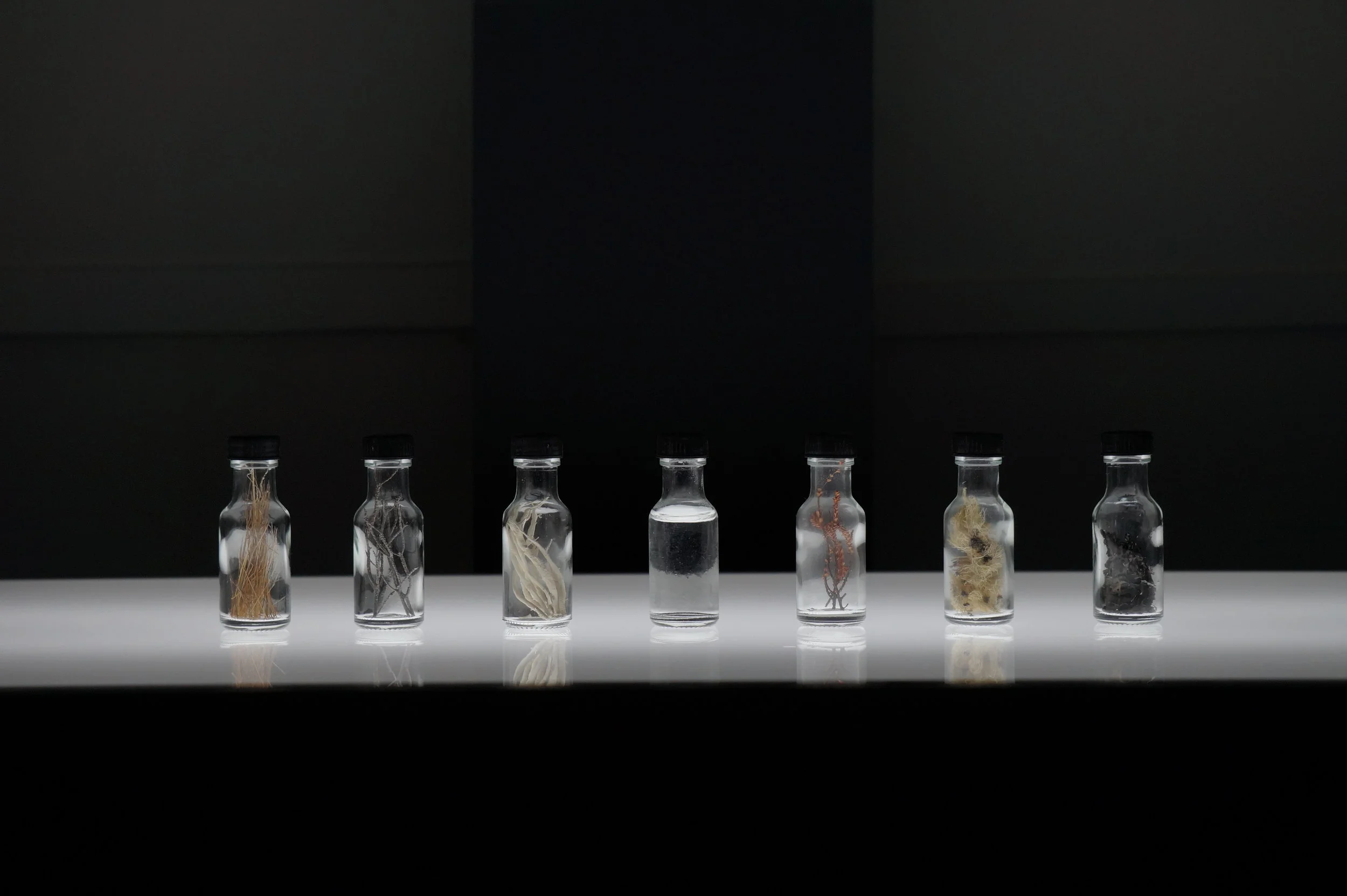 xDSC00240.JPG