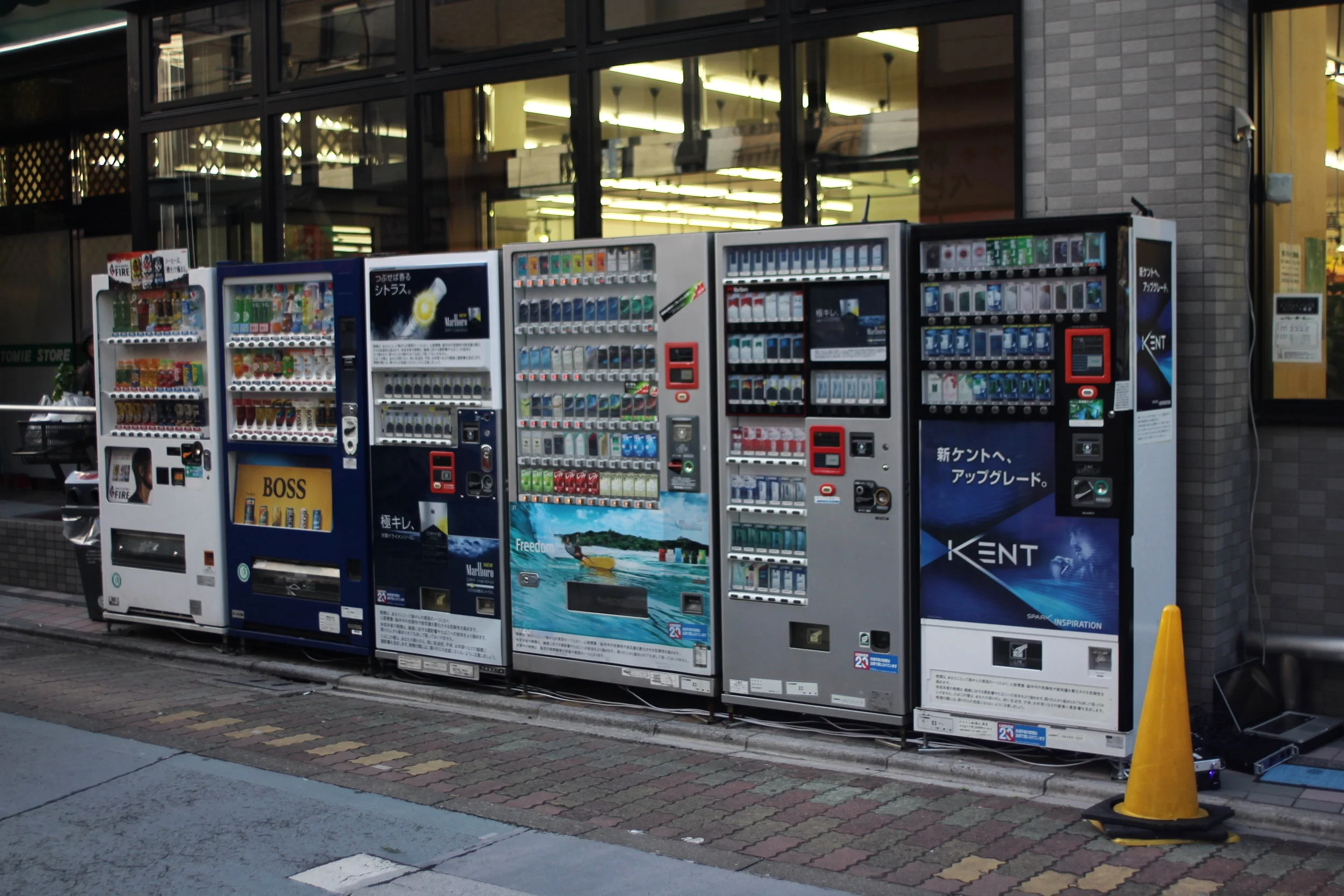 Atticus Bastow _Wardens_ installation A.JPG