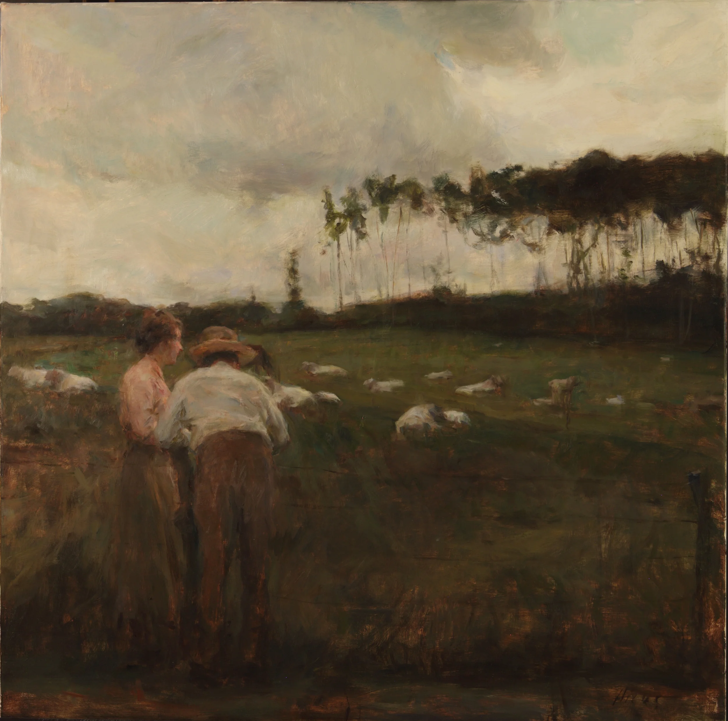 watching the charolais30x30 oil 9-2003.jpg