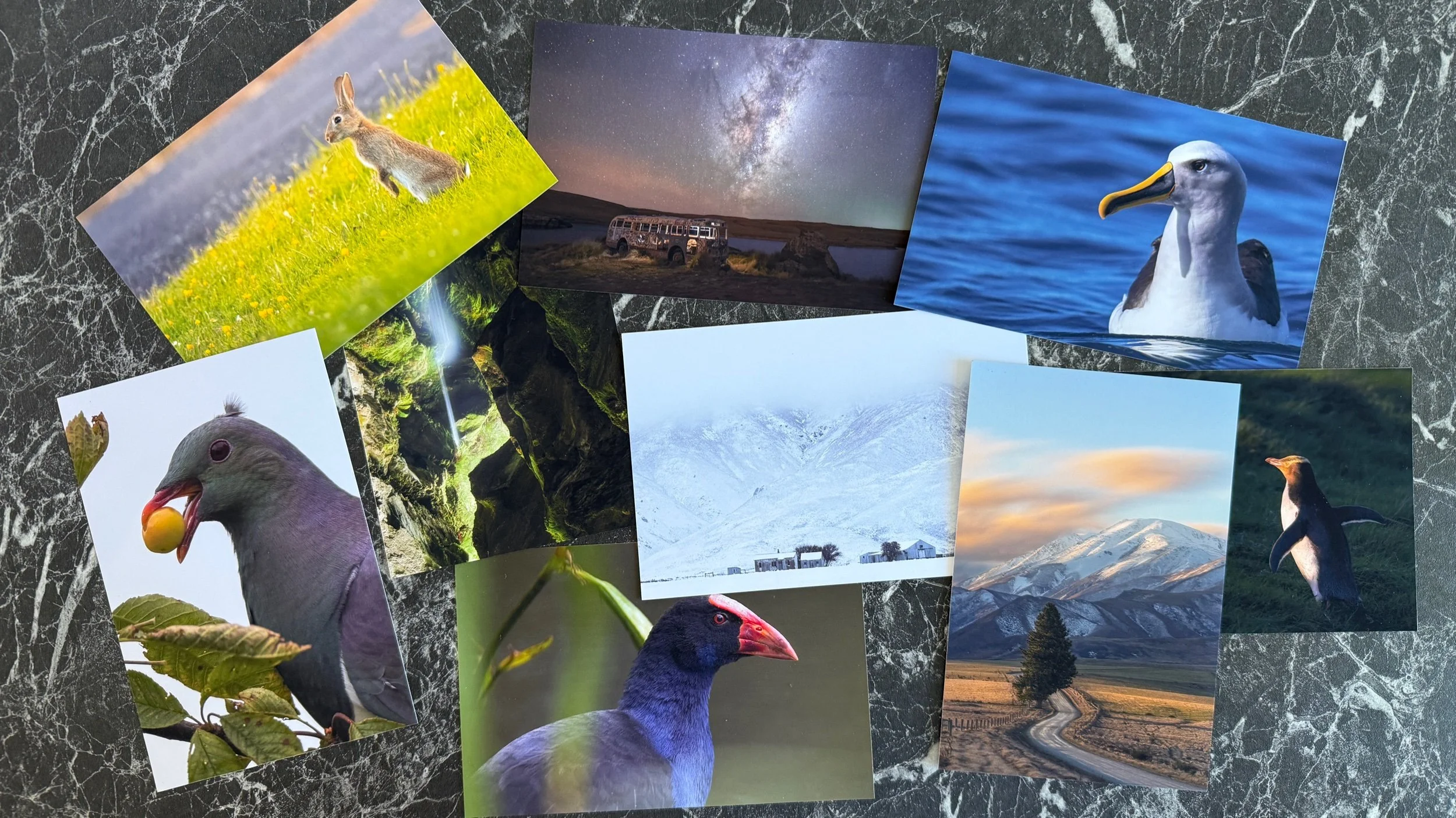 Introducing: The Print Club!