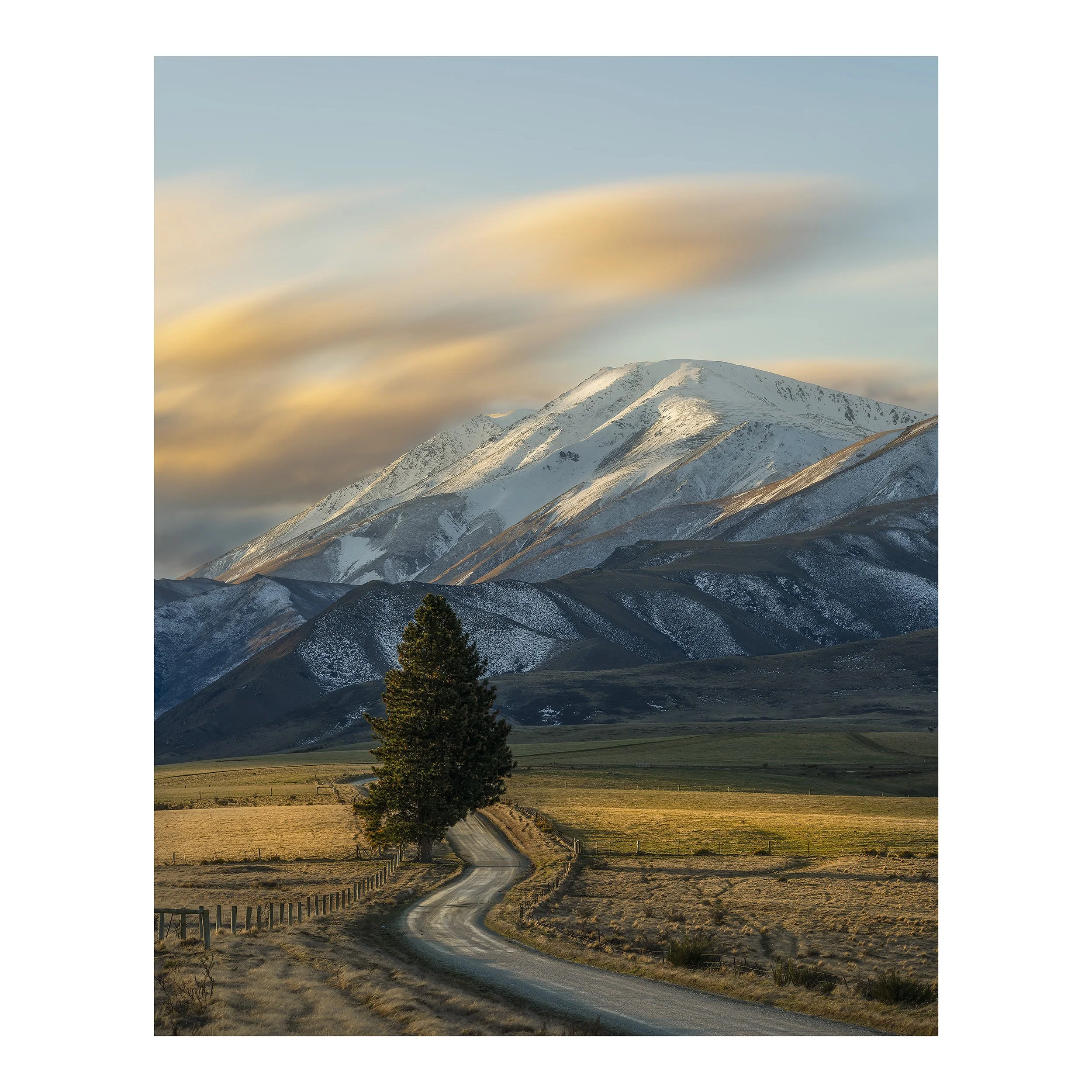 Last Light square.jpg