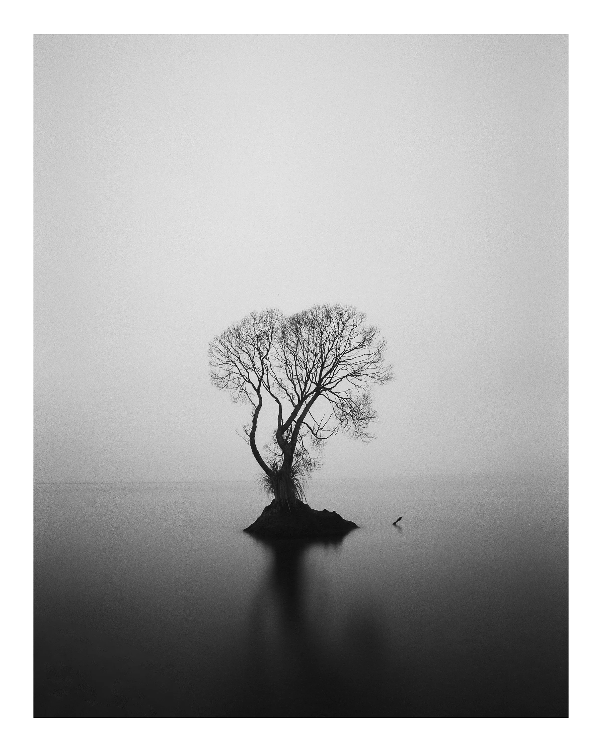 TTT 8x10-1jp.jpg