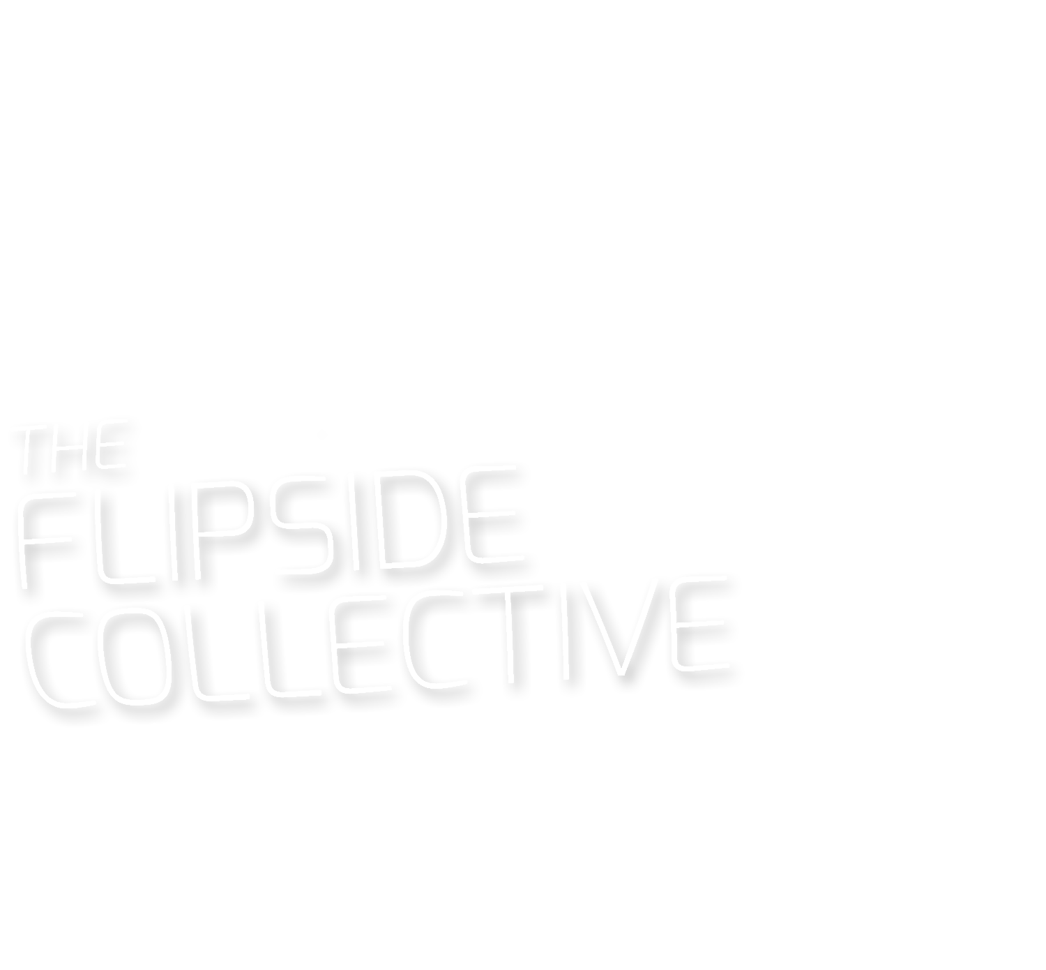 THE FLIPSIDE COLLECTIVE