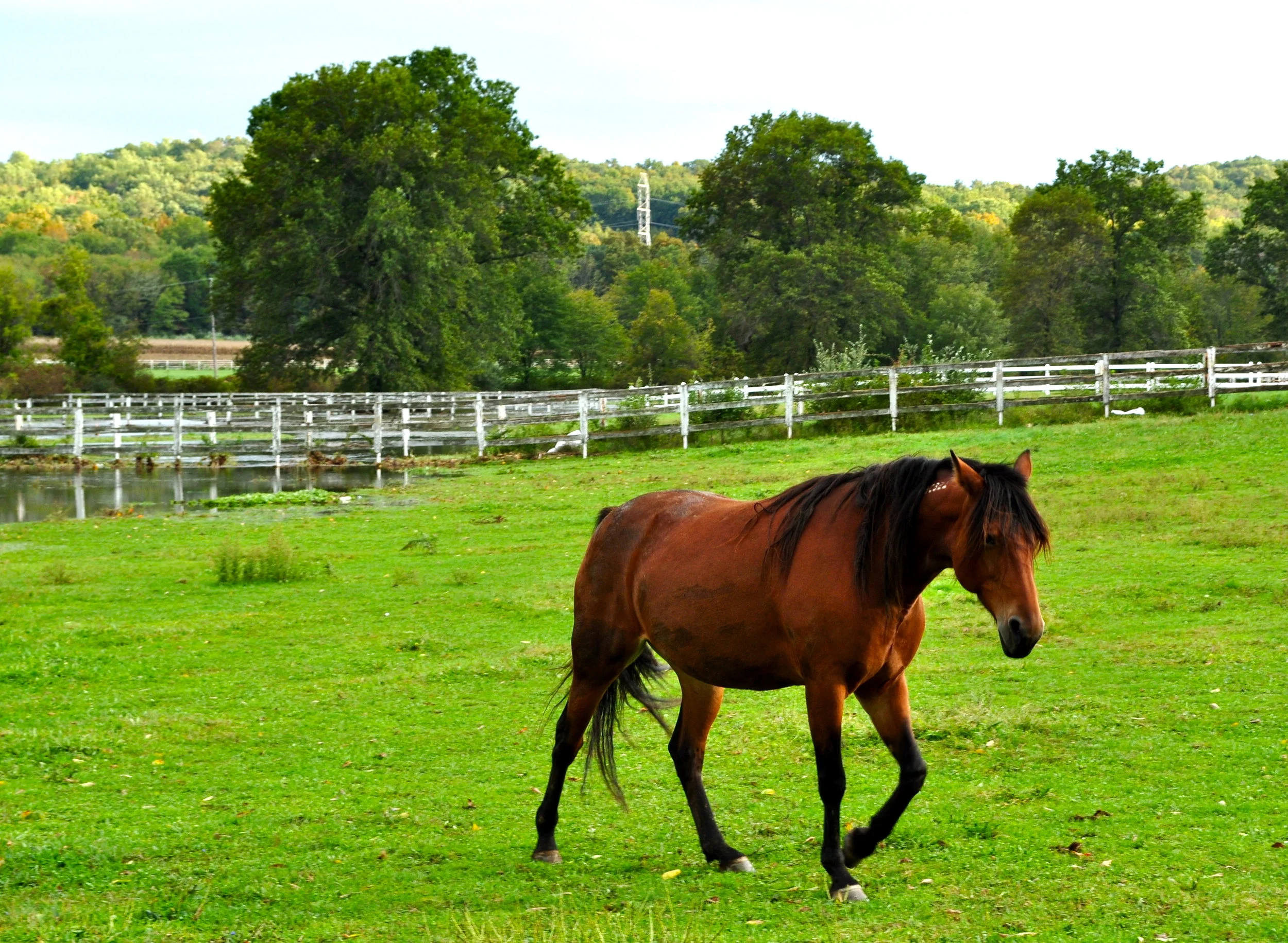DSC_0800.JPG