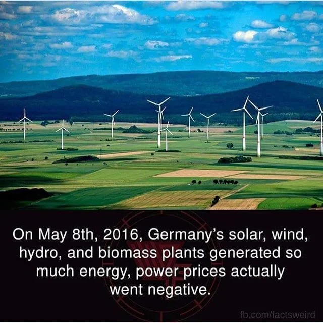 #repost from @hourly_facts. Just because we love this little factoid.