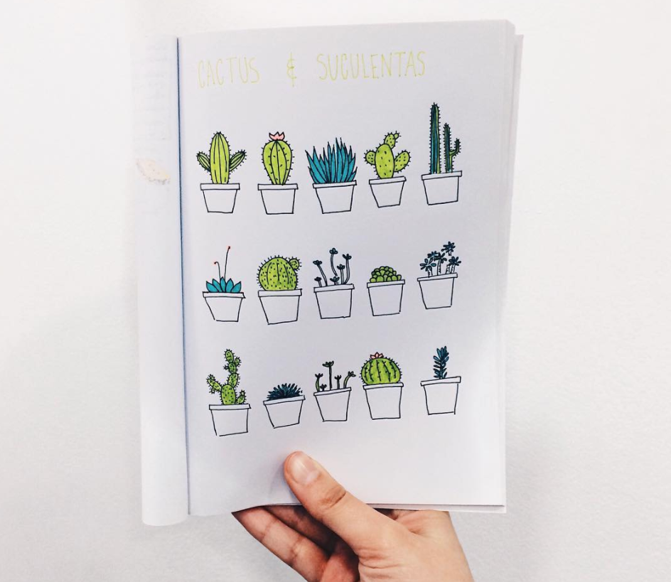 Featured image of post Hanging Succulents Drawing These are typically trailing succulents like while i was in their garden i was immediately drawn to this table