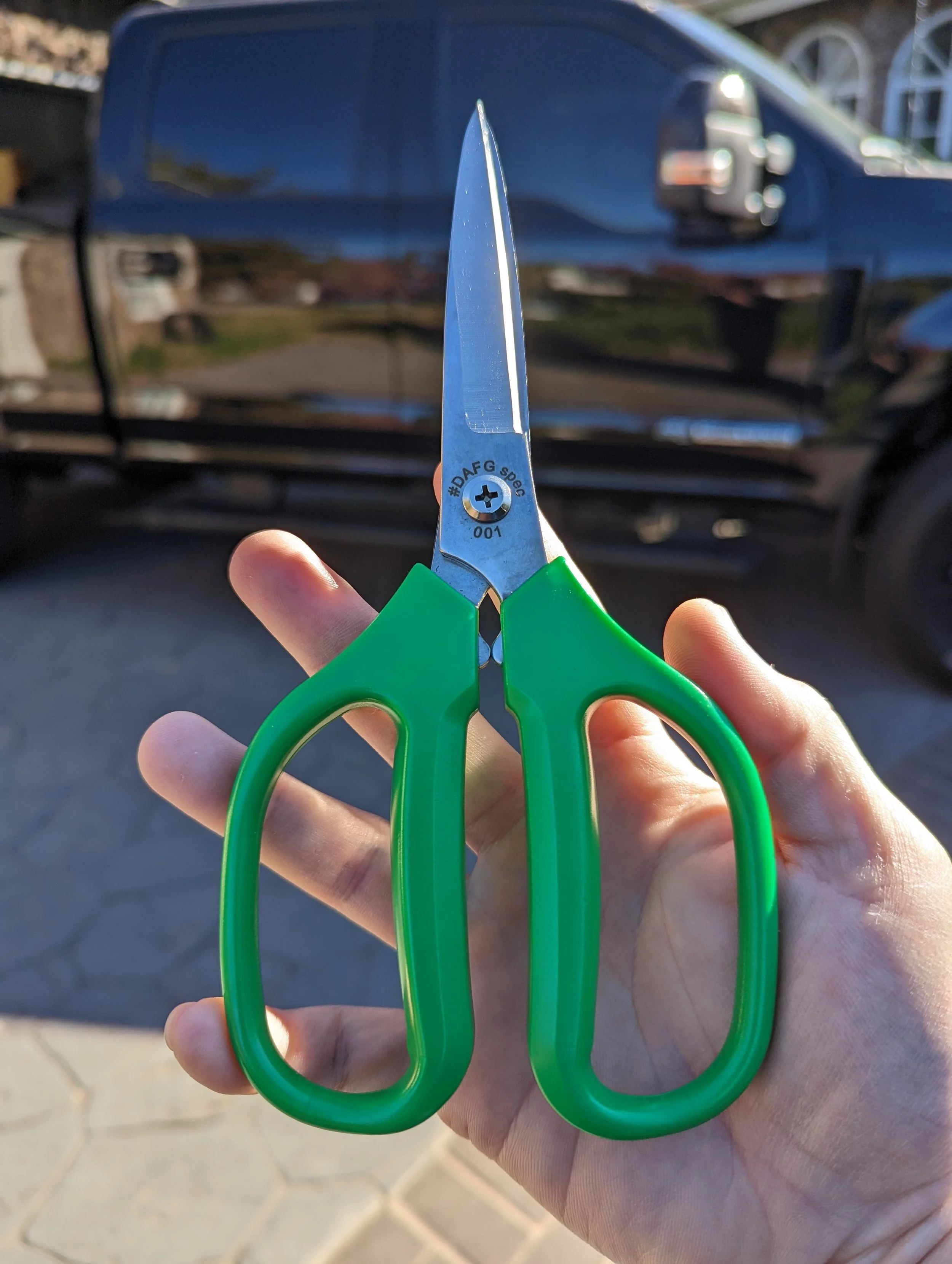 DAFG Spec 001 Scissors