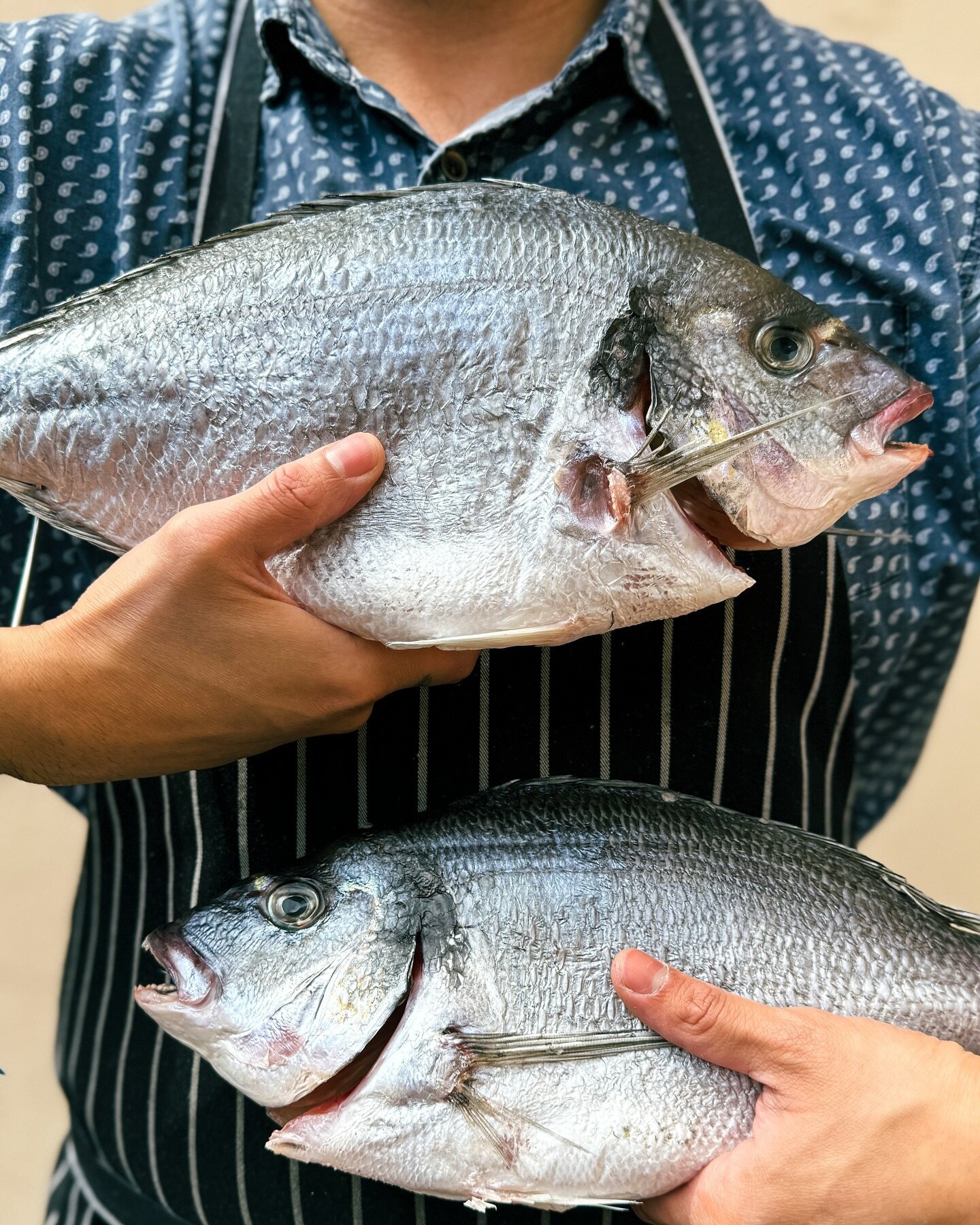 Dorade / Sea Bream - There&rsquo;s a good layer of fat between the skin and flesh of the dorade, making it a great fish for grilling, baking, and other skin-on cooking methods