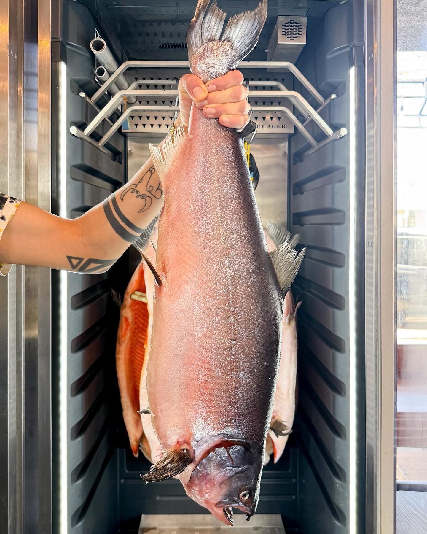 Our dry-aged @orakingsalmon is now available for nationwide shipping! 

Considered the Wagyu of the sea, each Ōra King is carefully sourced from New Zealand King Salmon, the leader in Chinook aquaculture of the world. Ōra King Salmon has a rich, butt