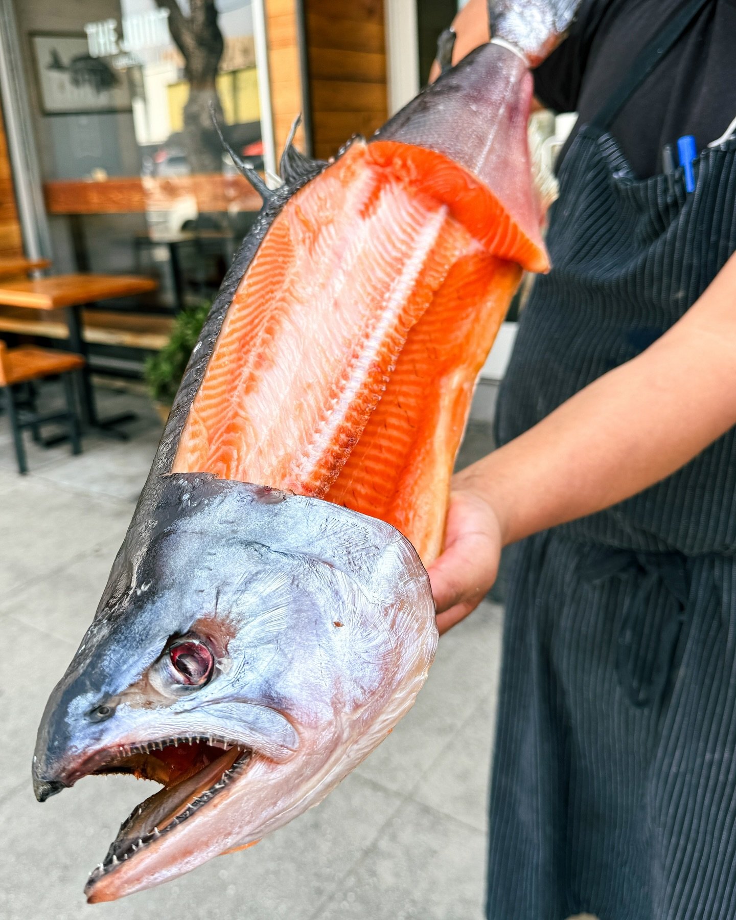 Did you know every @orakingsalmon is carefully sourced from New Zealand King Salmon, the leader in Chinook aquaculture of the world. Touting 30+ years of environmentally responsible husbandry practices and breeding expertise, only the best salmon are