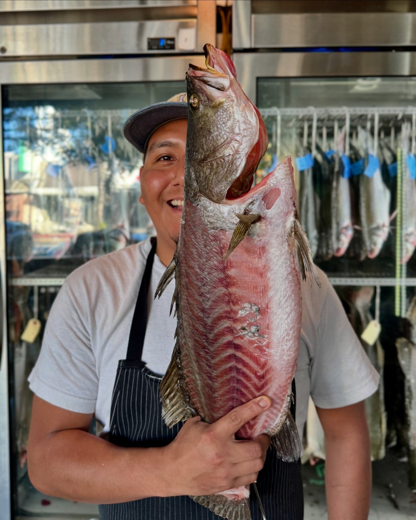 Dry Aged Barramundi / also known as Asian sea bass, is a white-fleshed fish with a sweet, mild flavor and firm texture, similar to snapper, grouper, striped bass, and sole