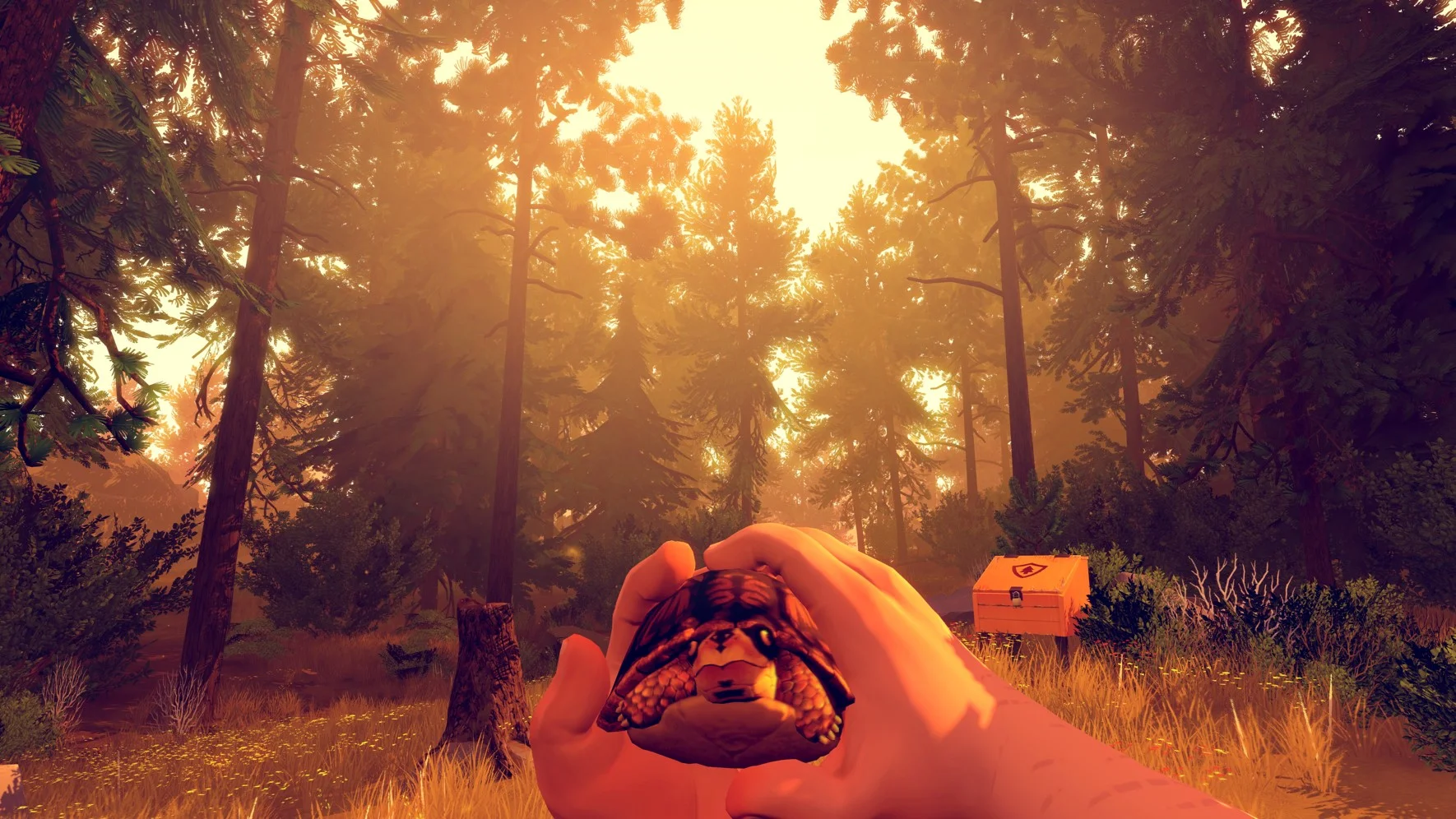 Dear Player: Gender and Love in 'Life is Strange' and 'Firewatch'