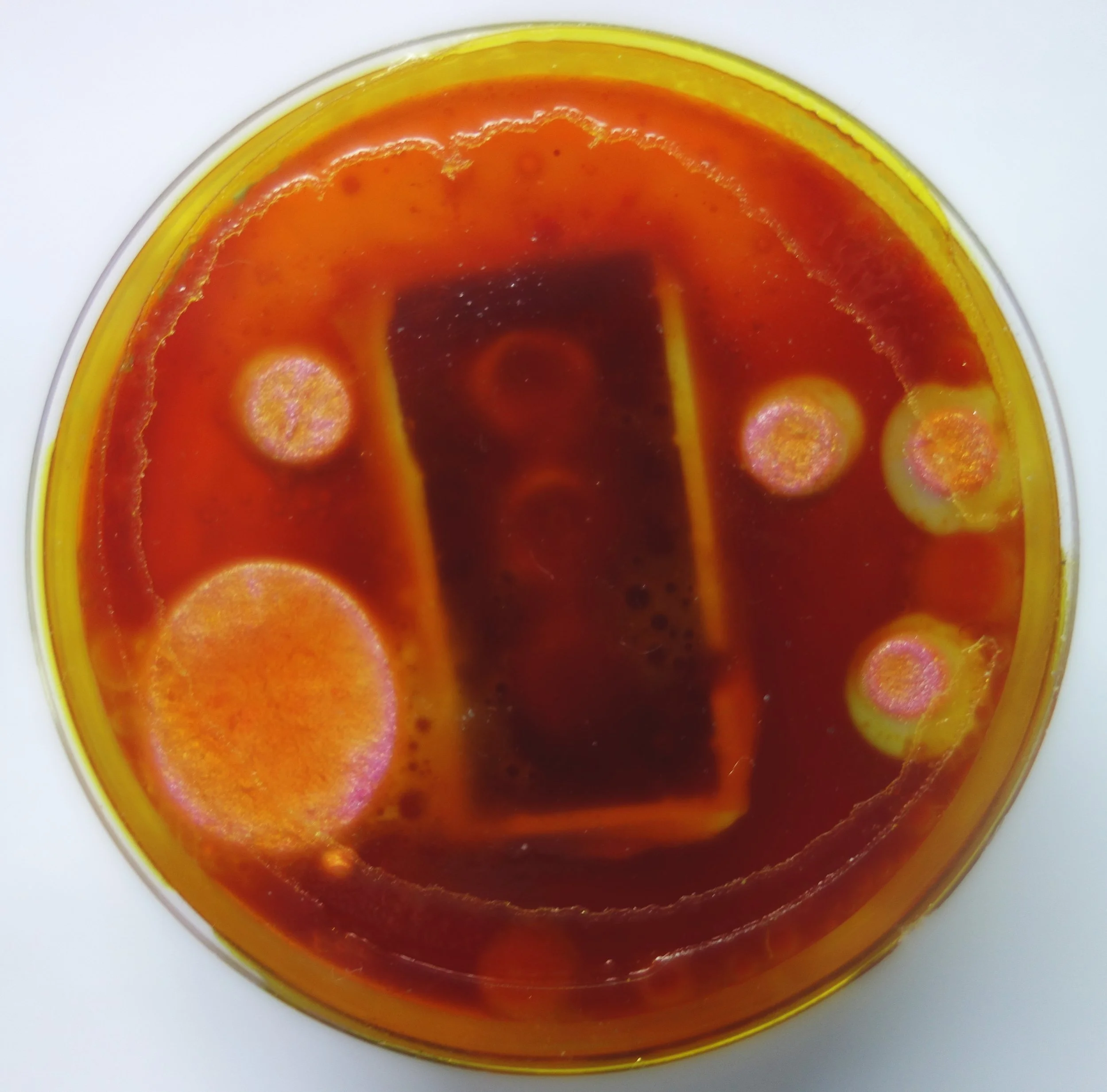 Primordial Soup 2.jpg