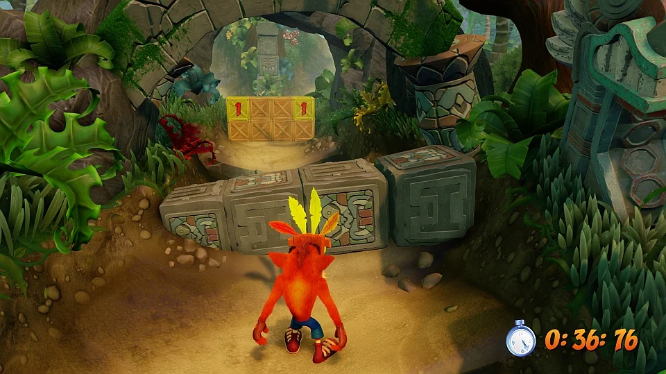 The bandicoot's masquerade.