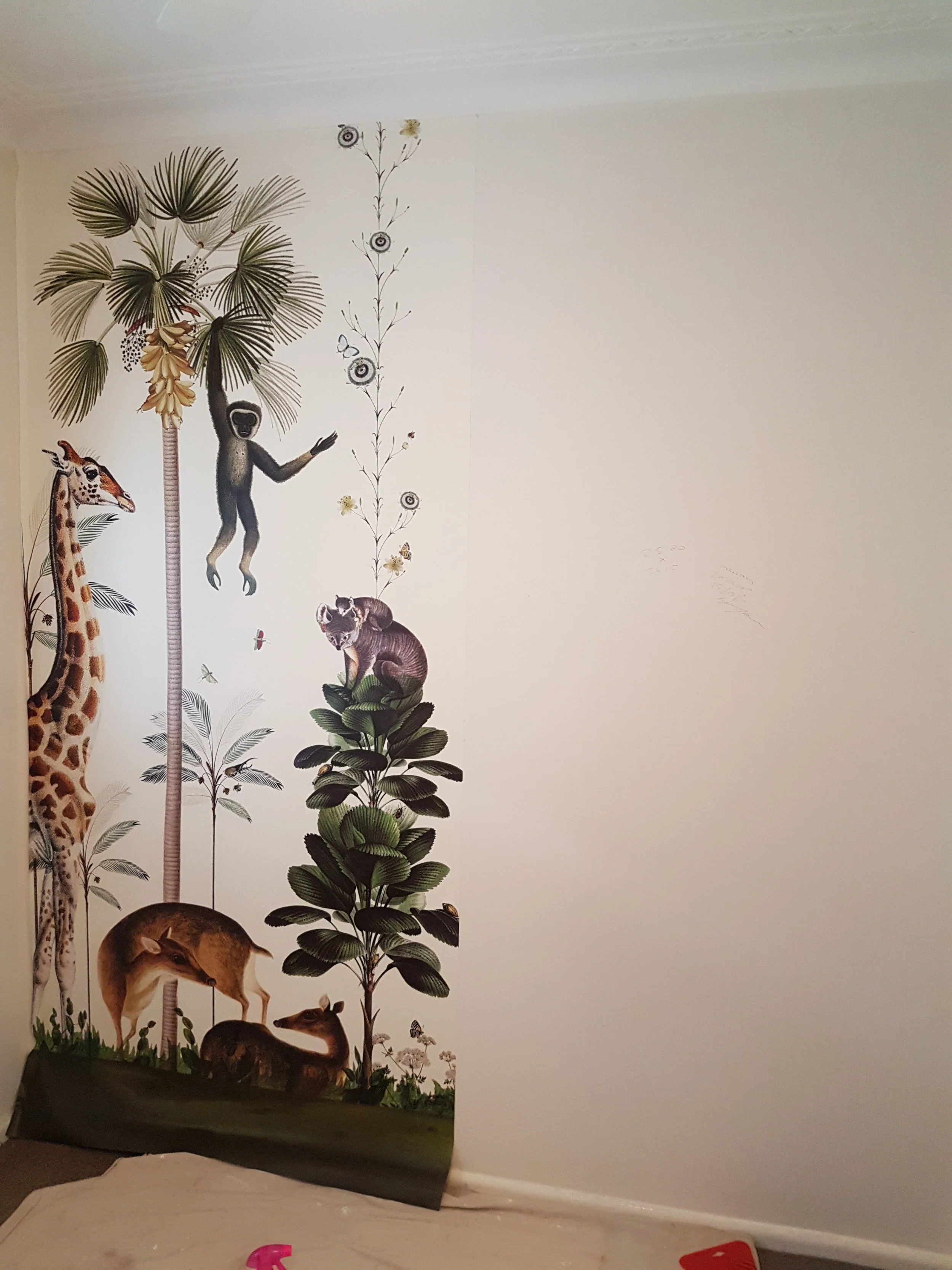 kids feature wall  (1).jpg