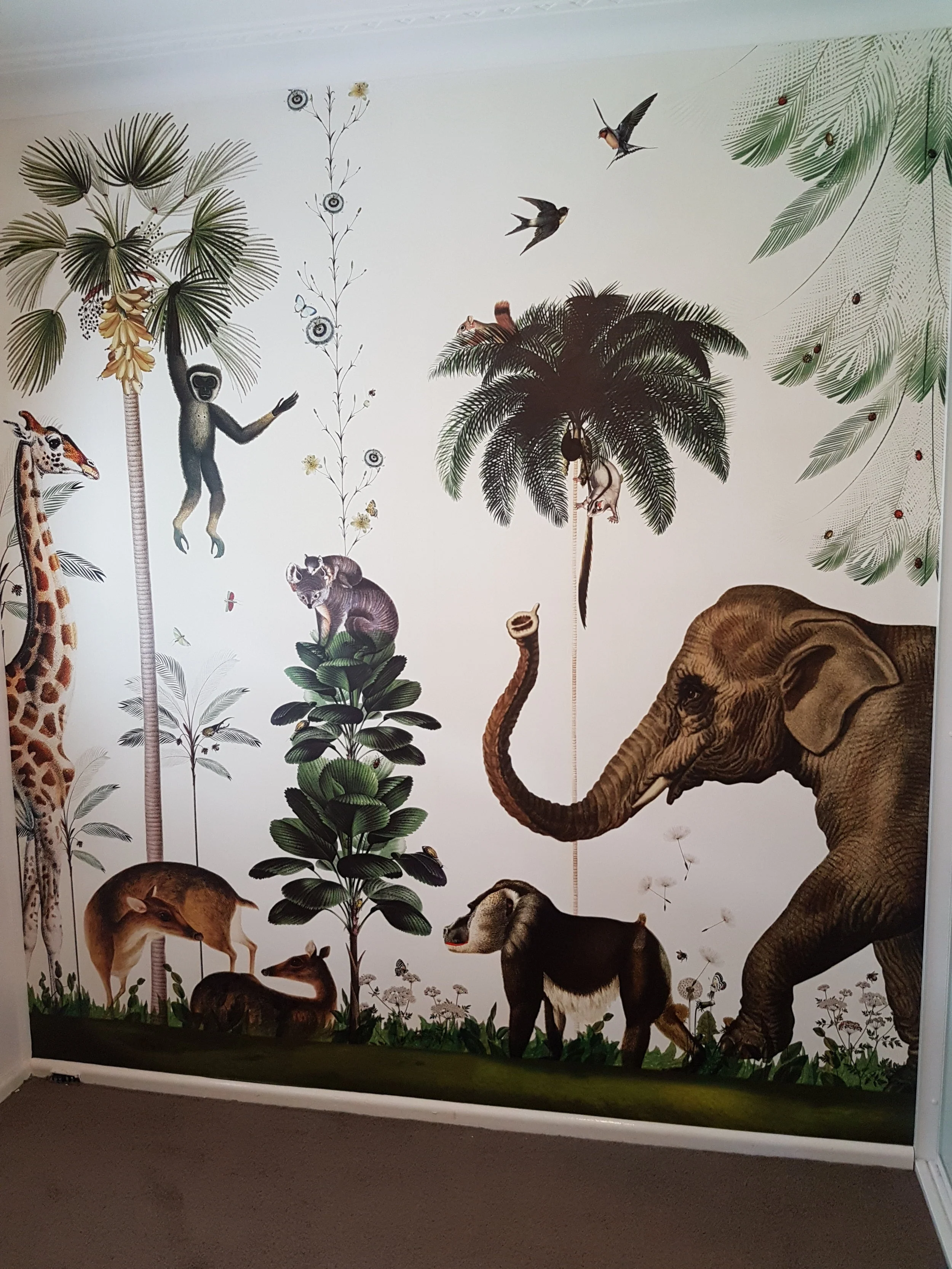 kids feature wall  (2).jpg