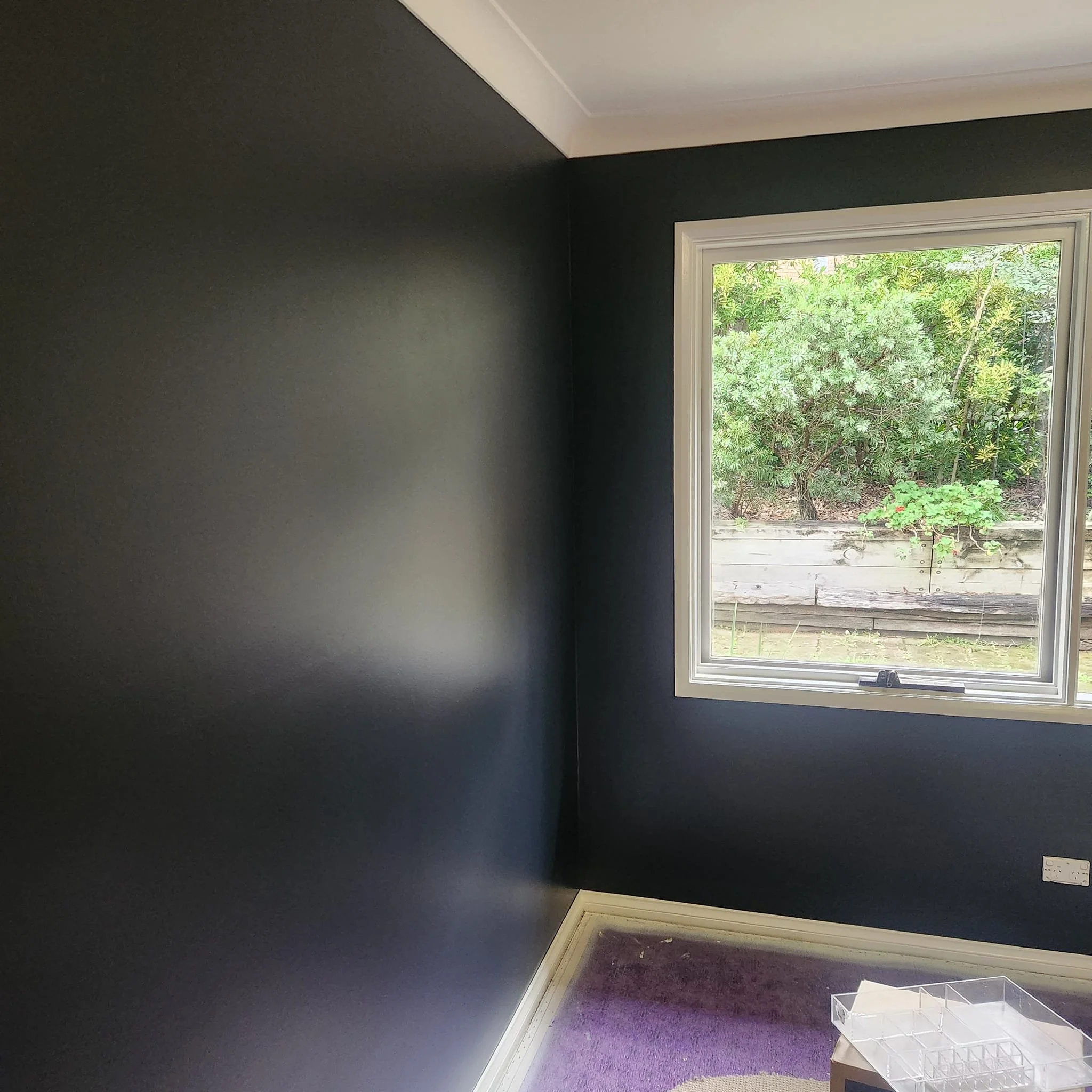 A corner of a room with dark walls and a window showing outdoor greenery, purple carpet, and a small clear plastic container on the floor.