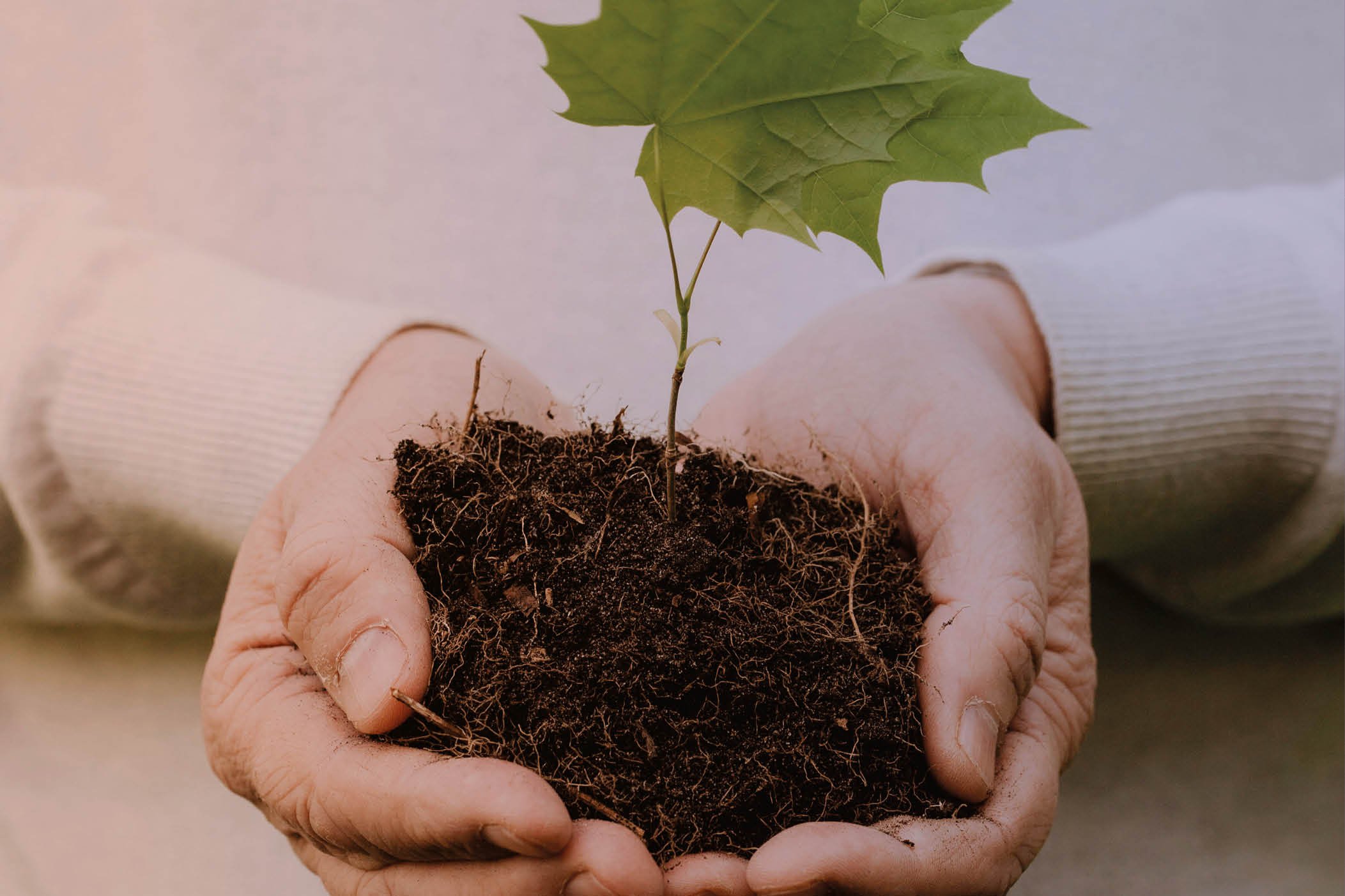 Engagierte Gelassenheit – Gelassenes Engagement