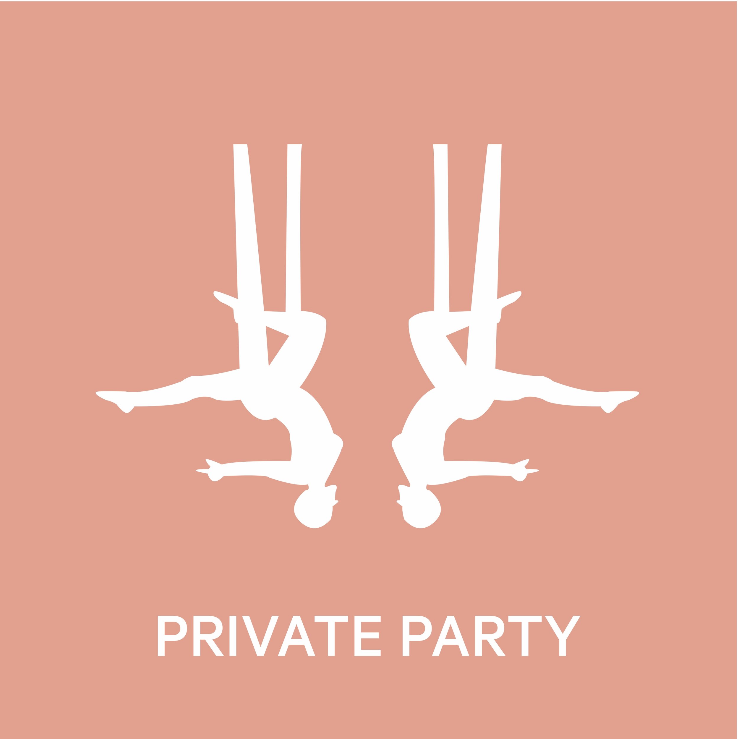 PRIVATE PARTY.jpg