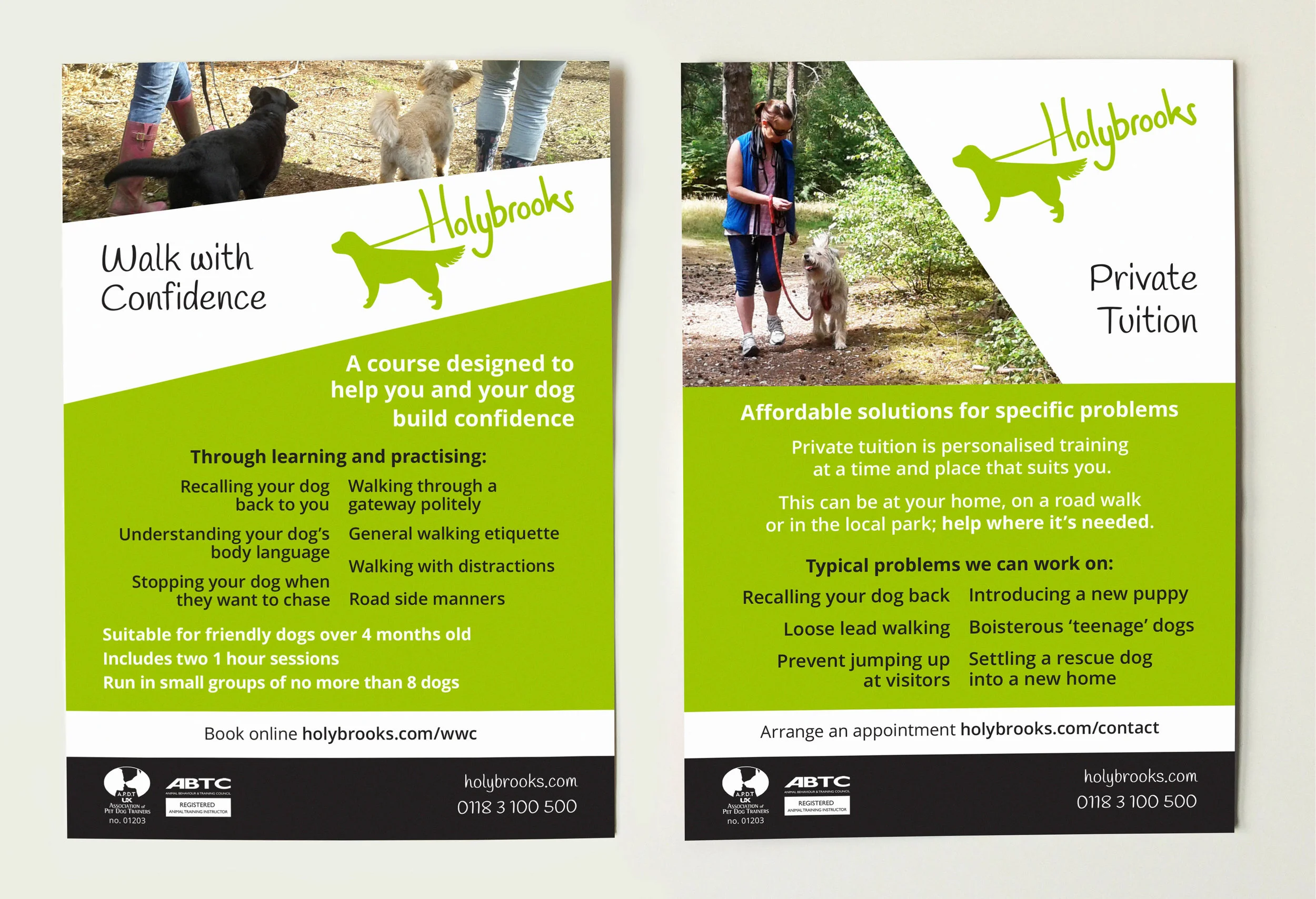 holybrooks dog walking