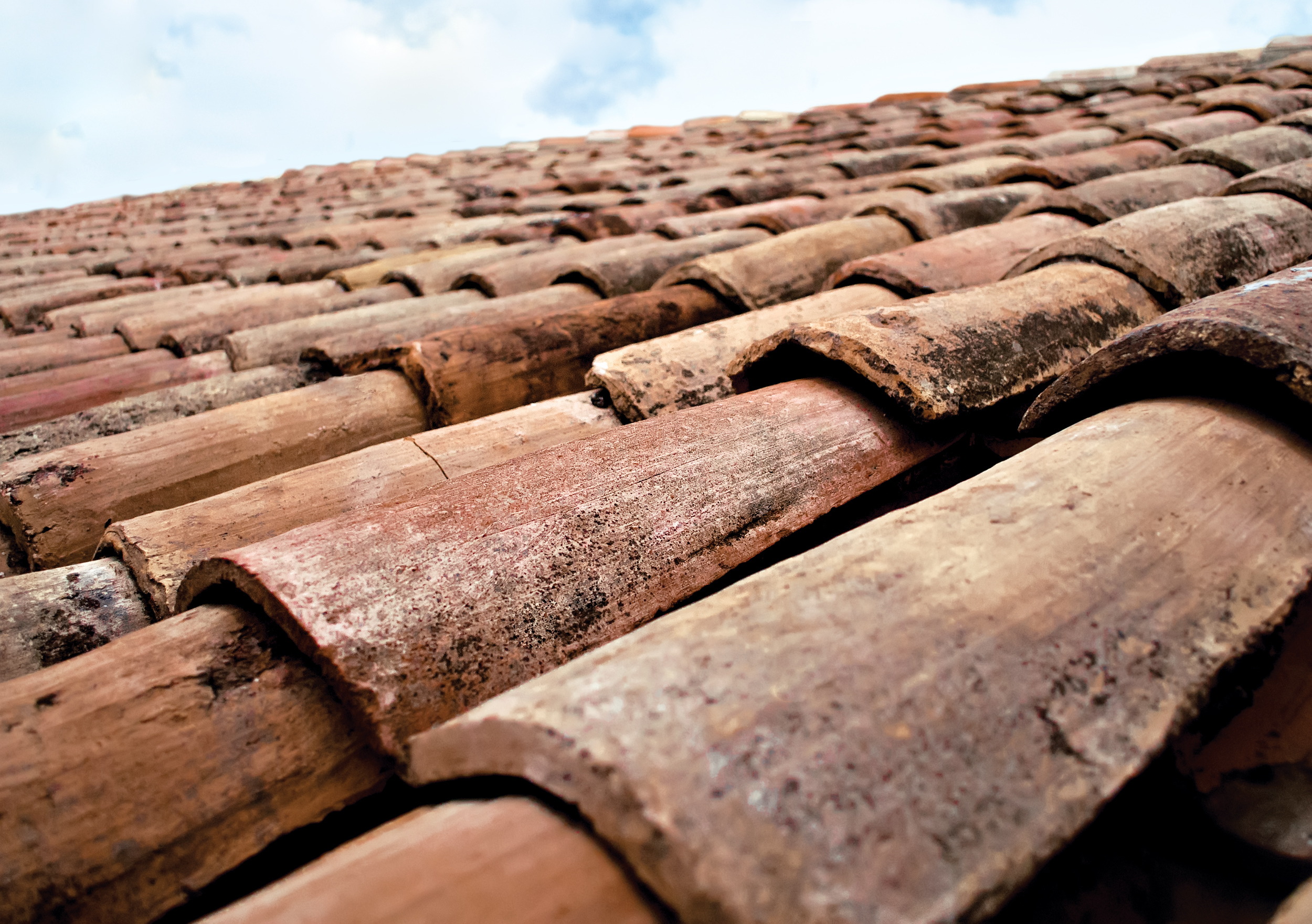 make absolutely sure the roof is sound