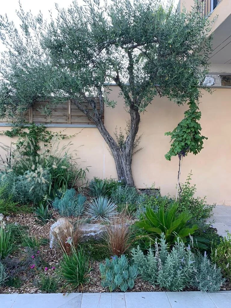 boezem veronderstellen ik heb het gevonden Mediterranean landscape garden design Languedoc & Provence — English  speaking builders & architects Languedoc & South of France