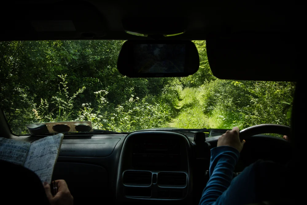 Galtee Bees (2 of 17).jpg