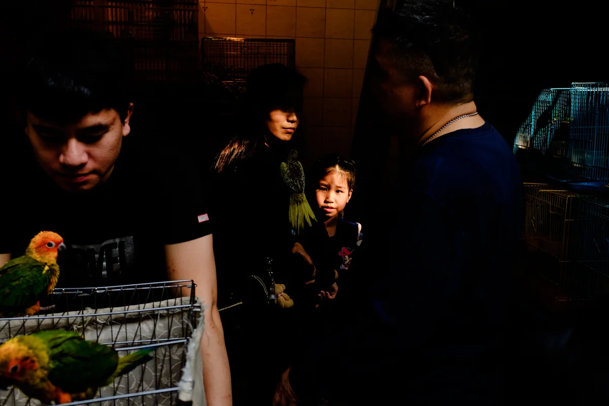 Birds Market HK (3 of 11).jpg