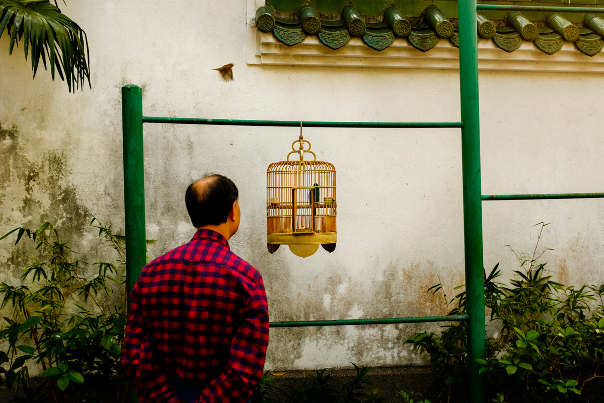 Birds Market HK (1 of 11).jpg
