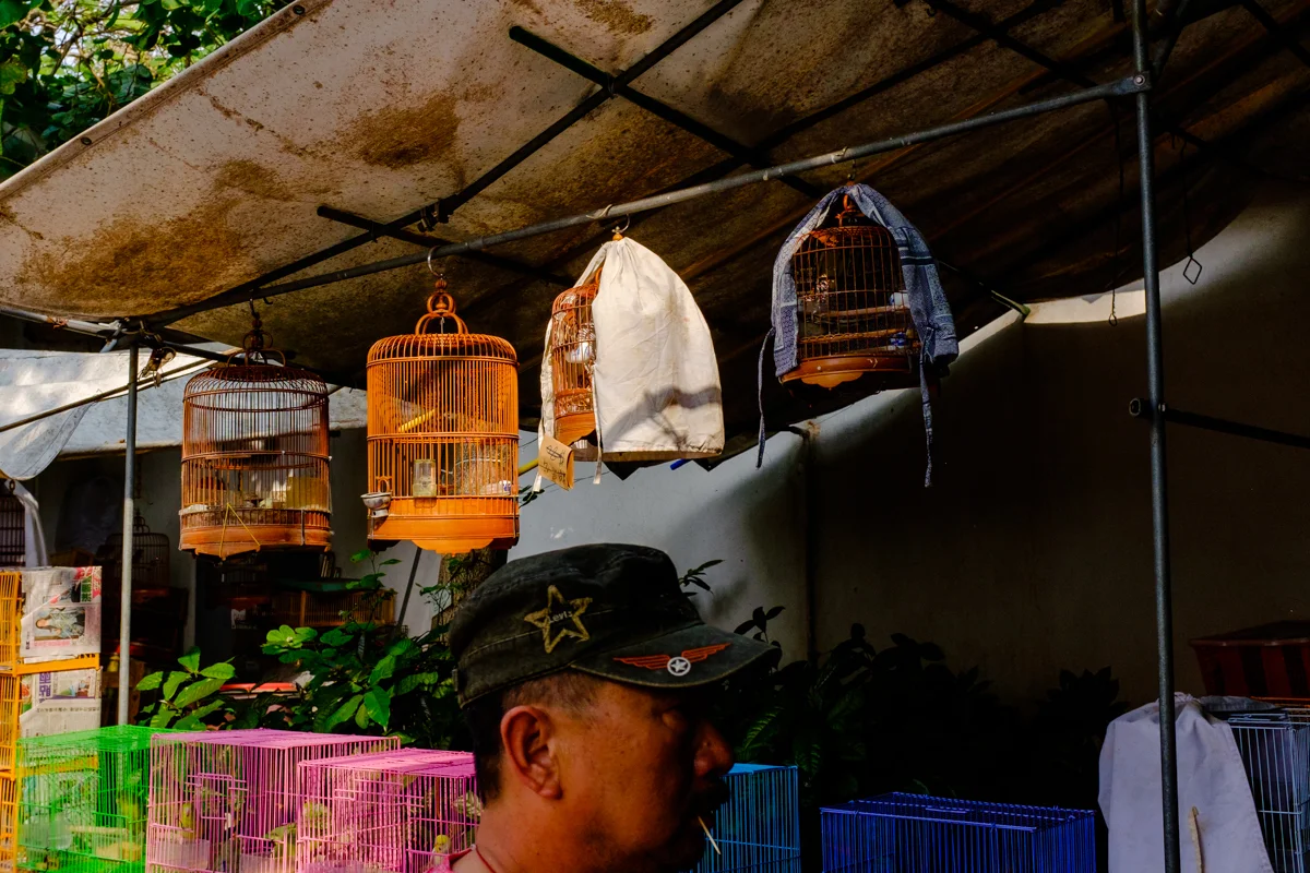 Birds Market HK (5 of 11).jpg