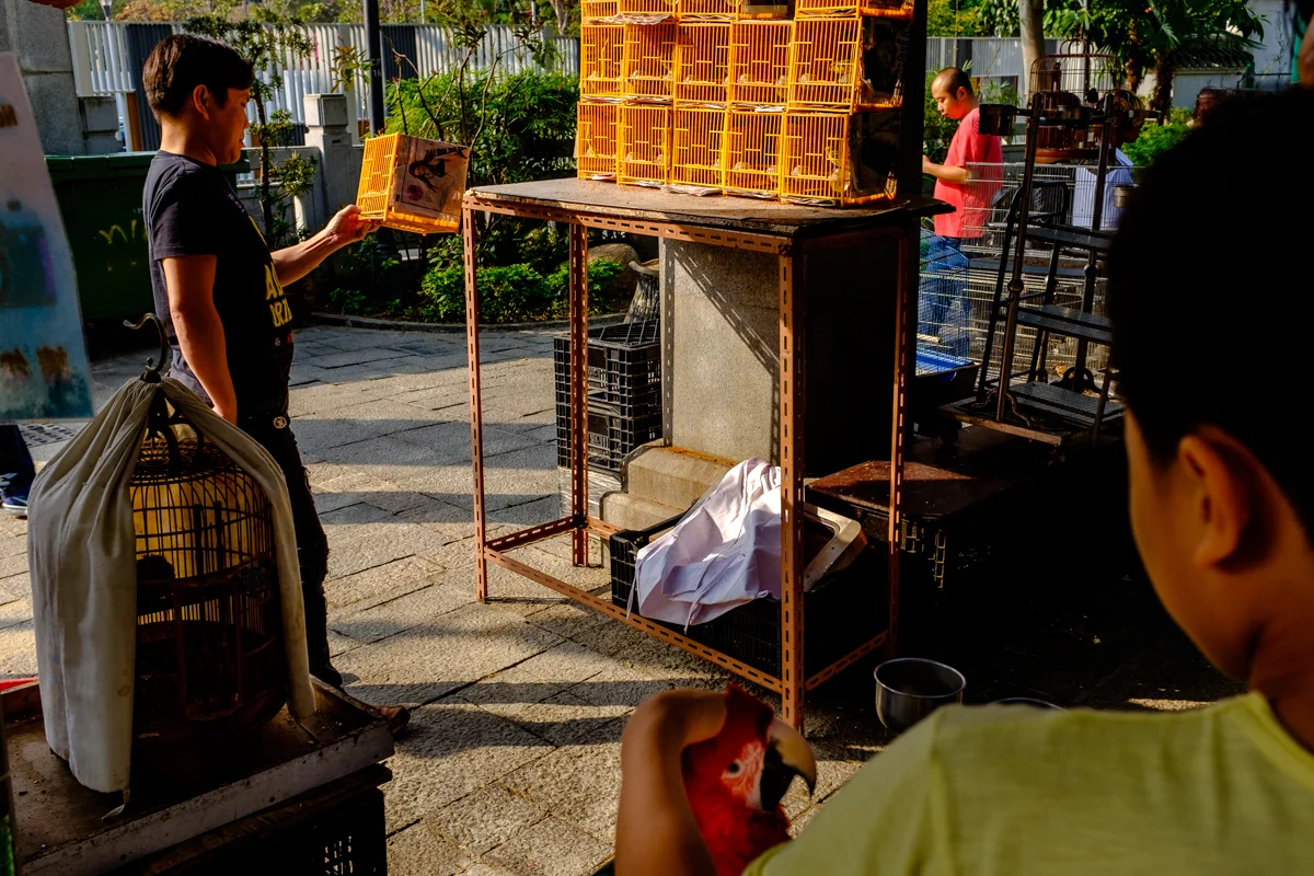 Birds Market HK (7 of 11).jpg
