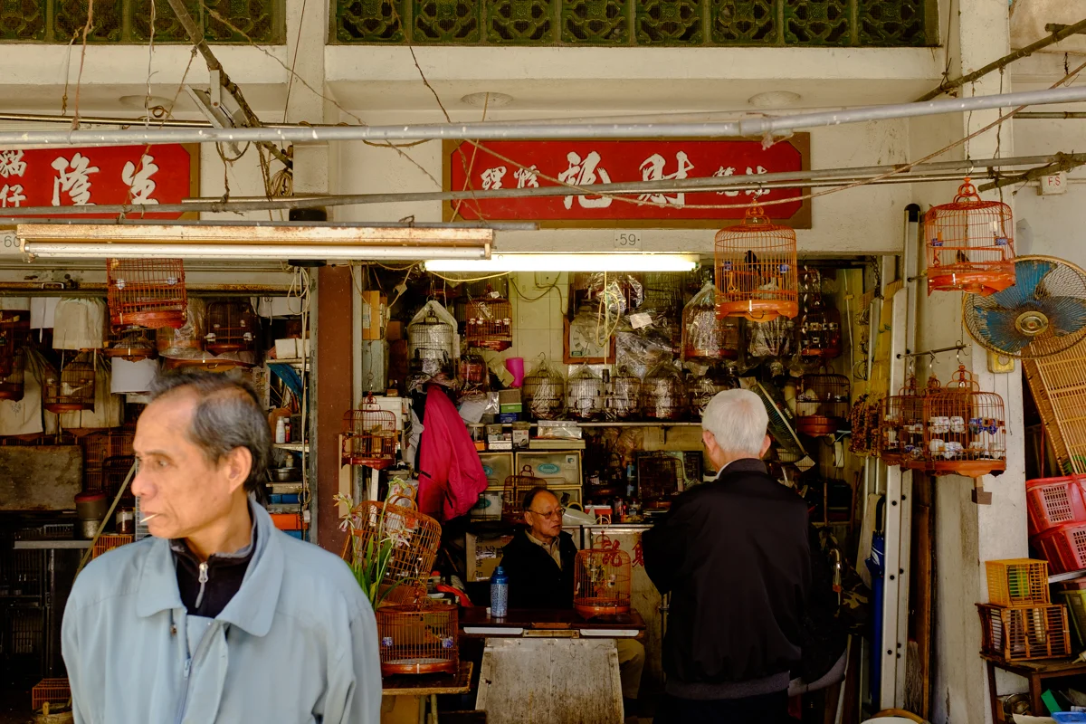 Birds Market HK (6 of 11).jpg