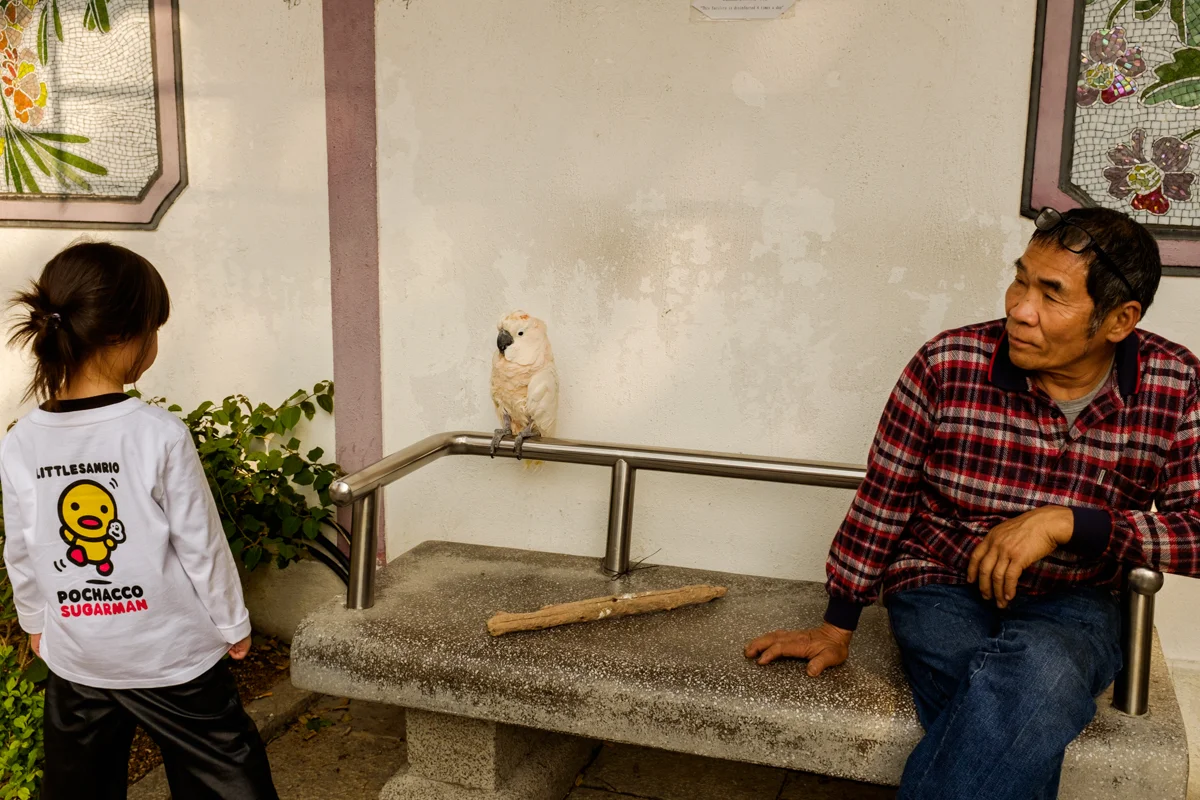 Birds Market (13 of 2).jpg